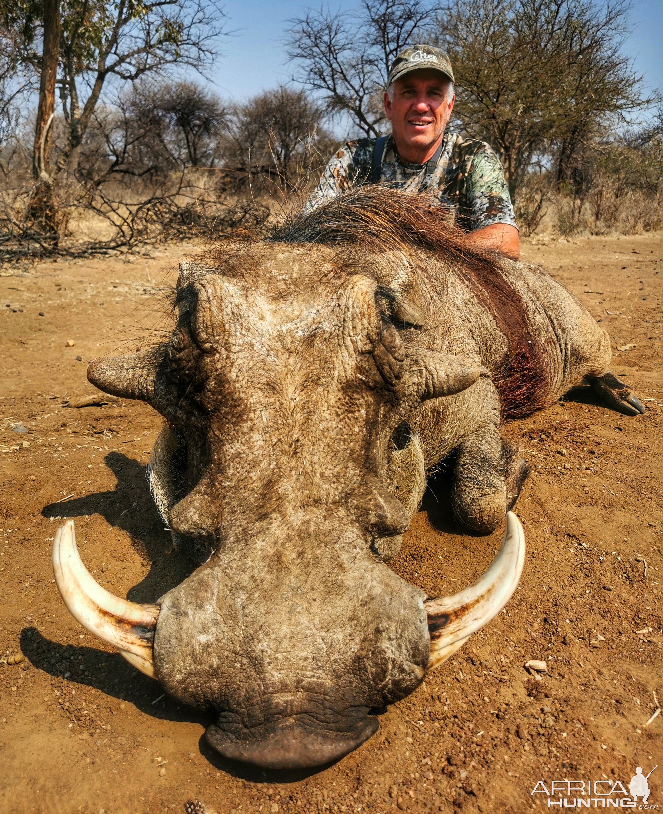 Warthog Bow Hunt South Africa