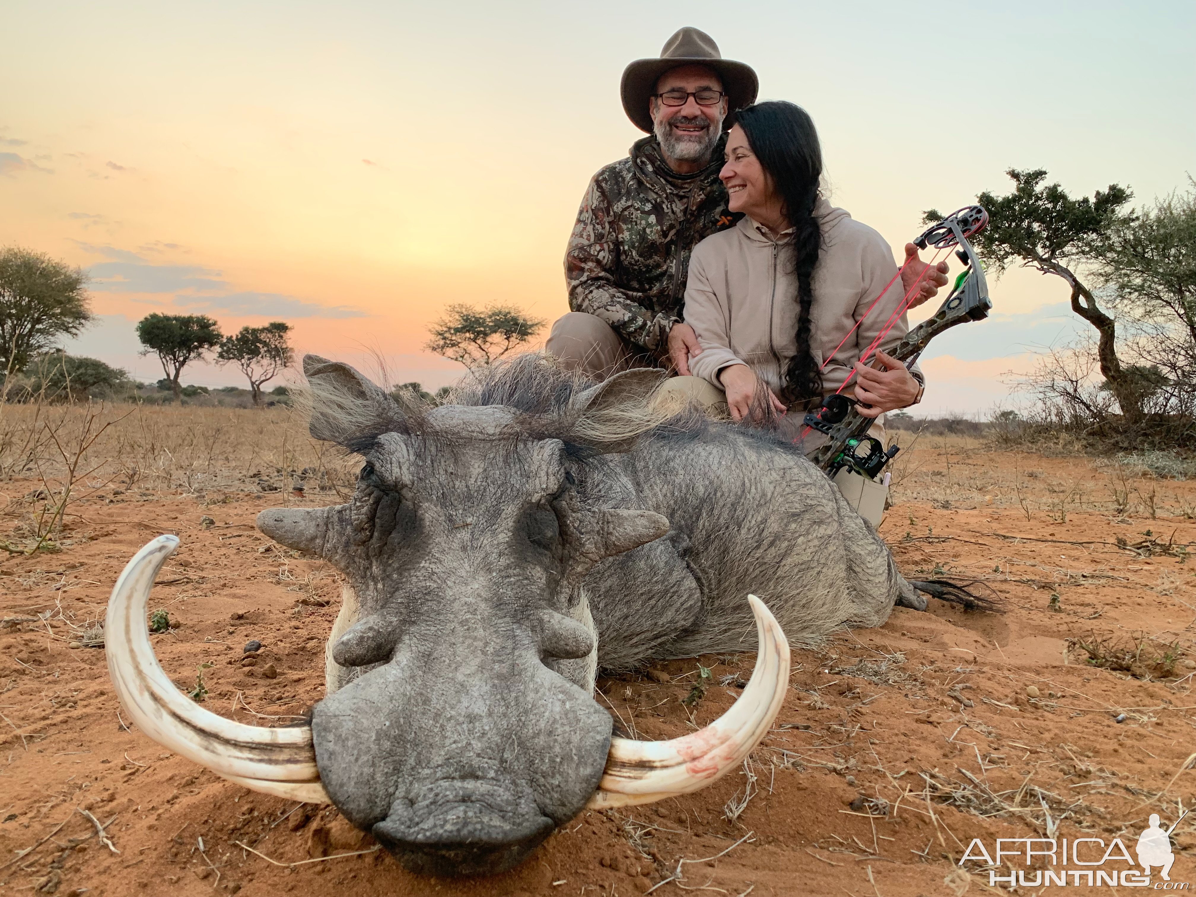 Warthog Bow Hunt South Africa