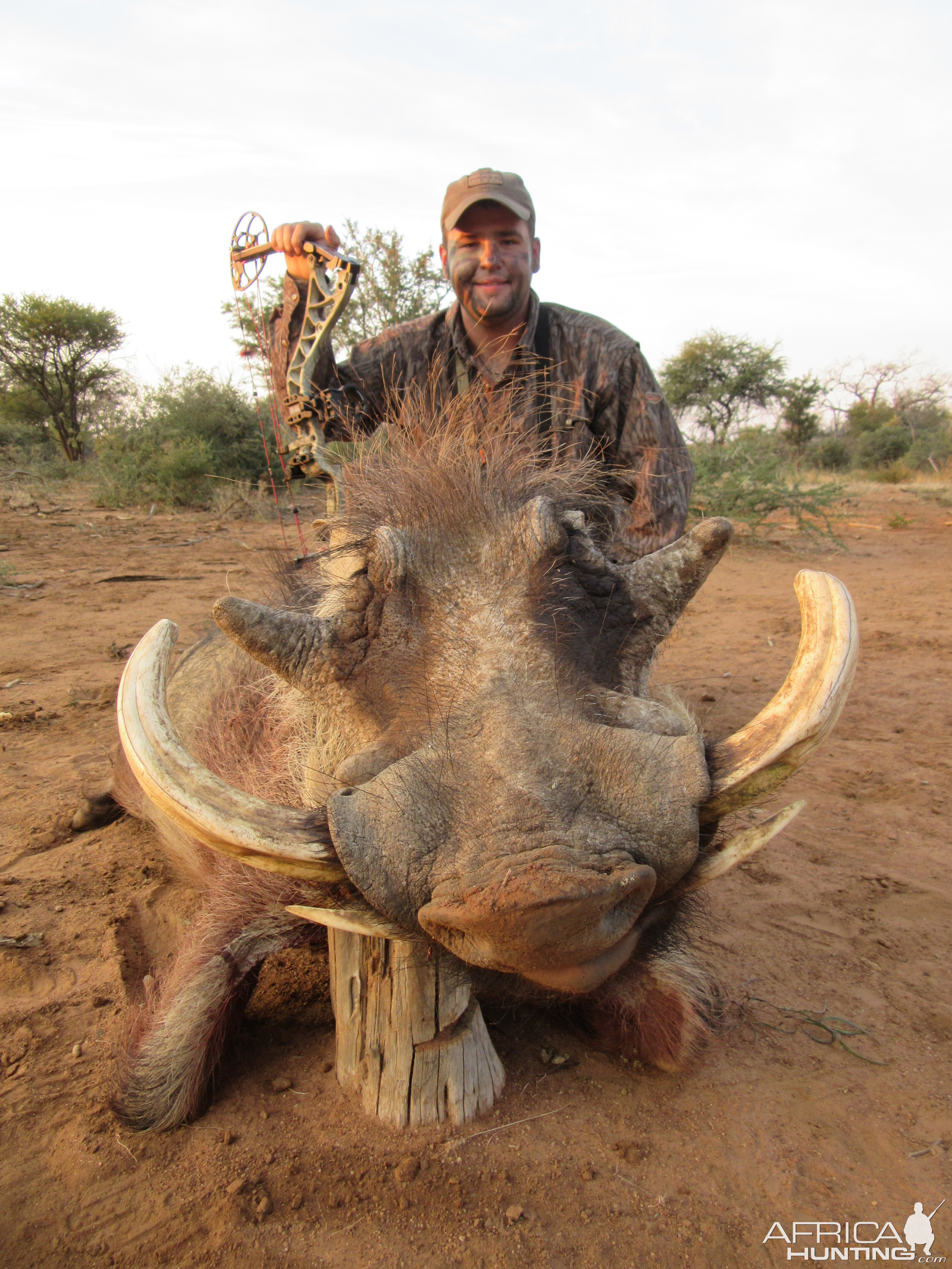 Warthog Bow Hunt South Africa