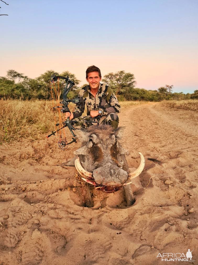 Warthog Bow Hunting Namibia