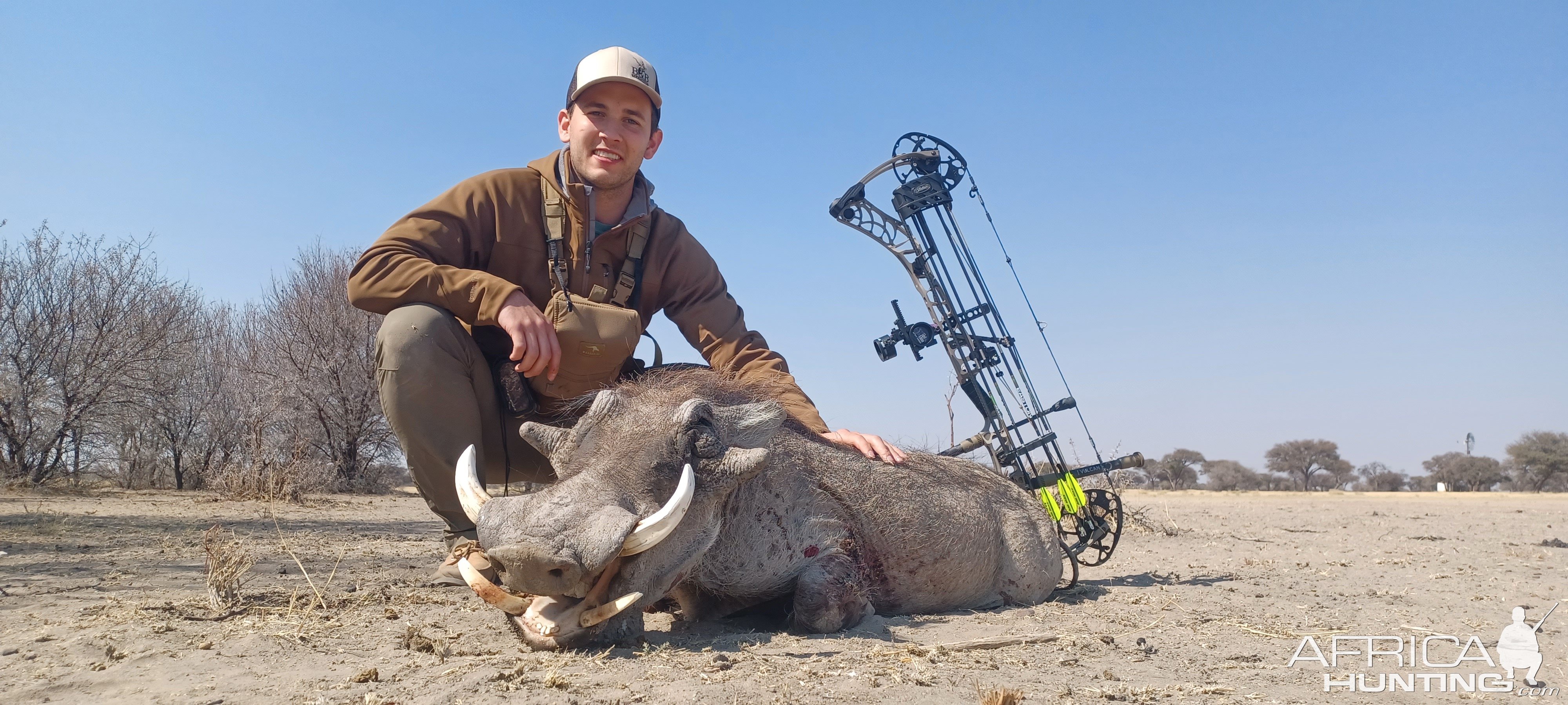 Warthog Bow Hunting Namibia