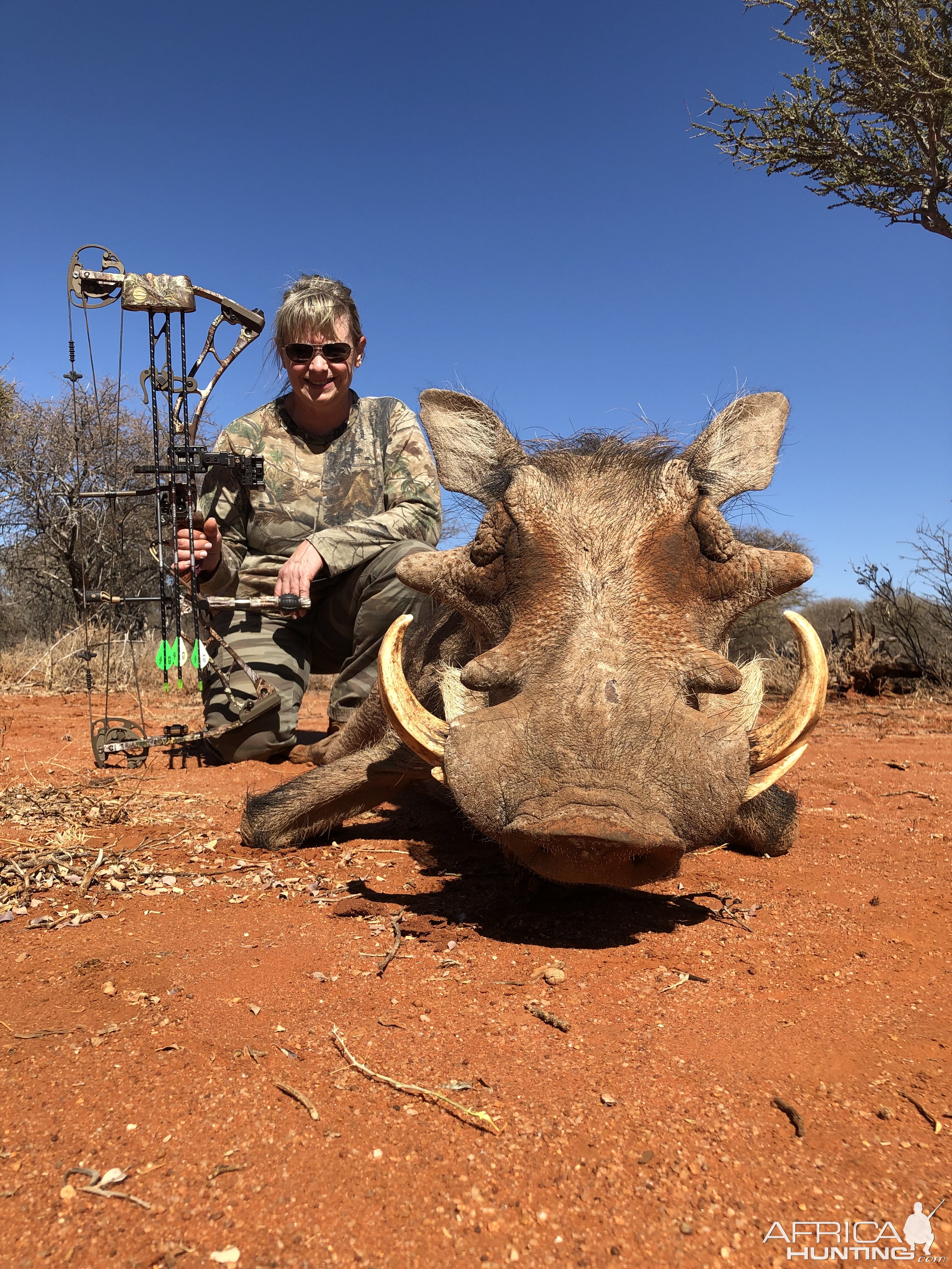 Warthog Bow Hunting South Africa