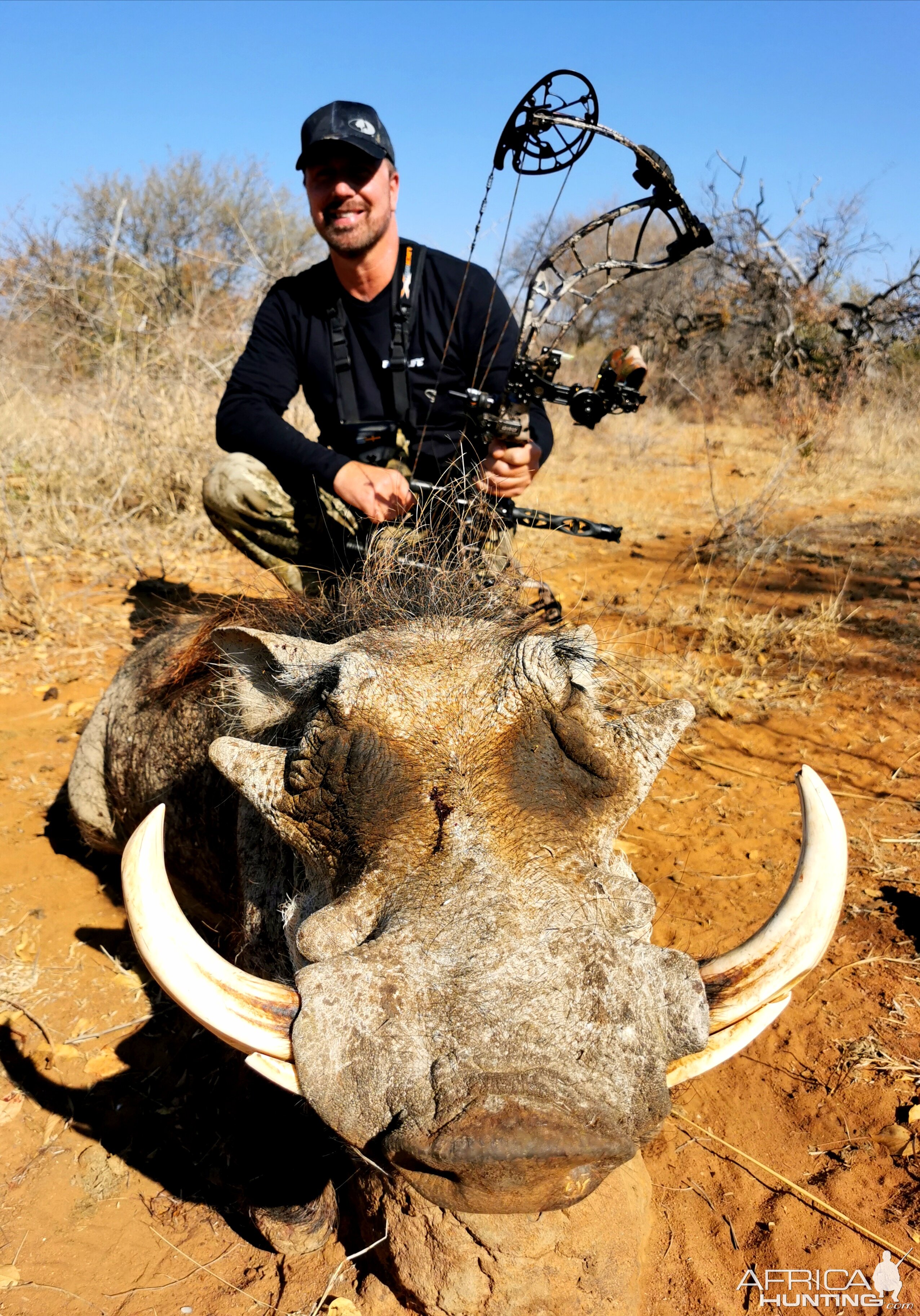 Warthog Bow Hunting South Africa