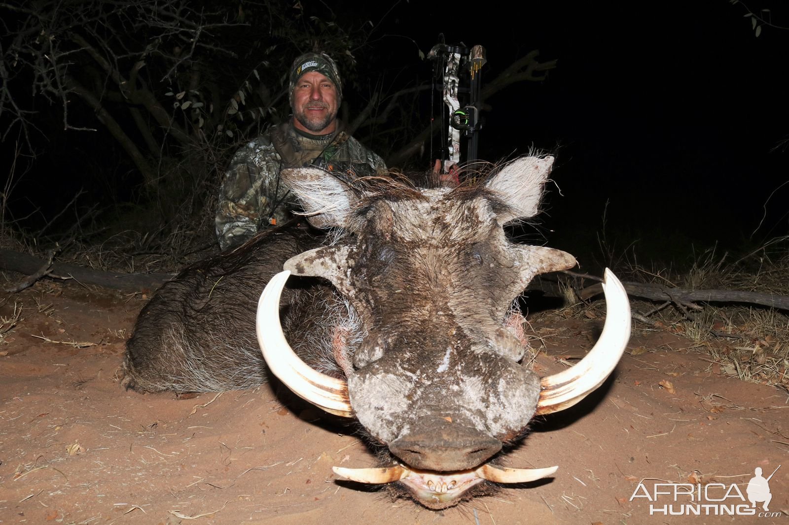 Warthog Bowhunting South Africa