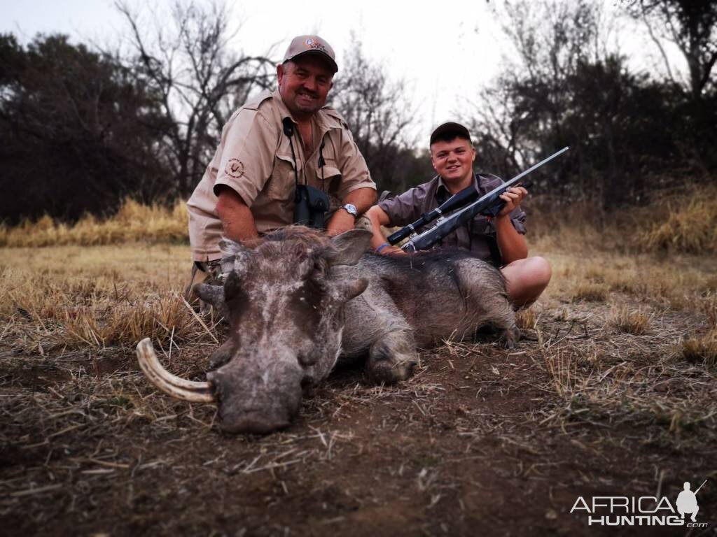 Warthog Cull Hunt South Africa