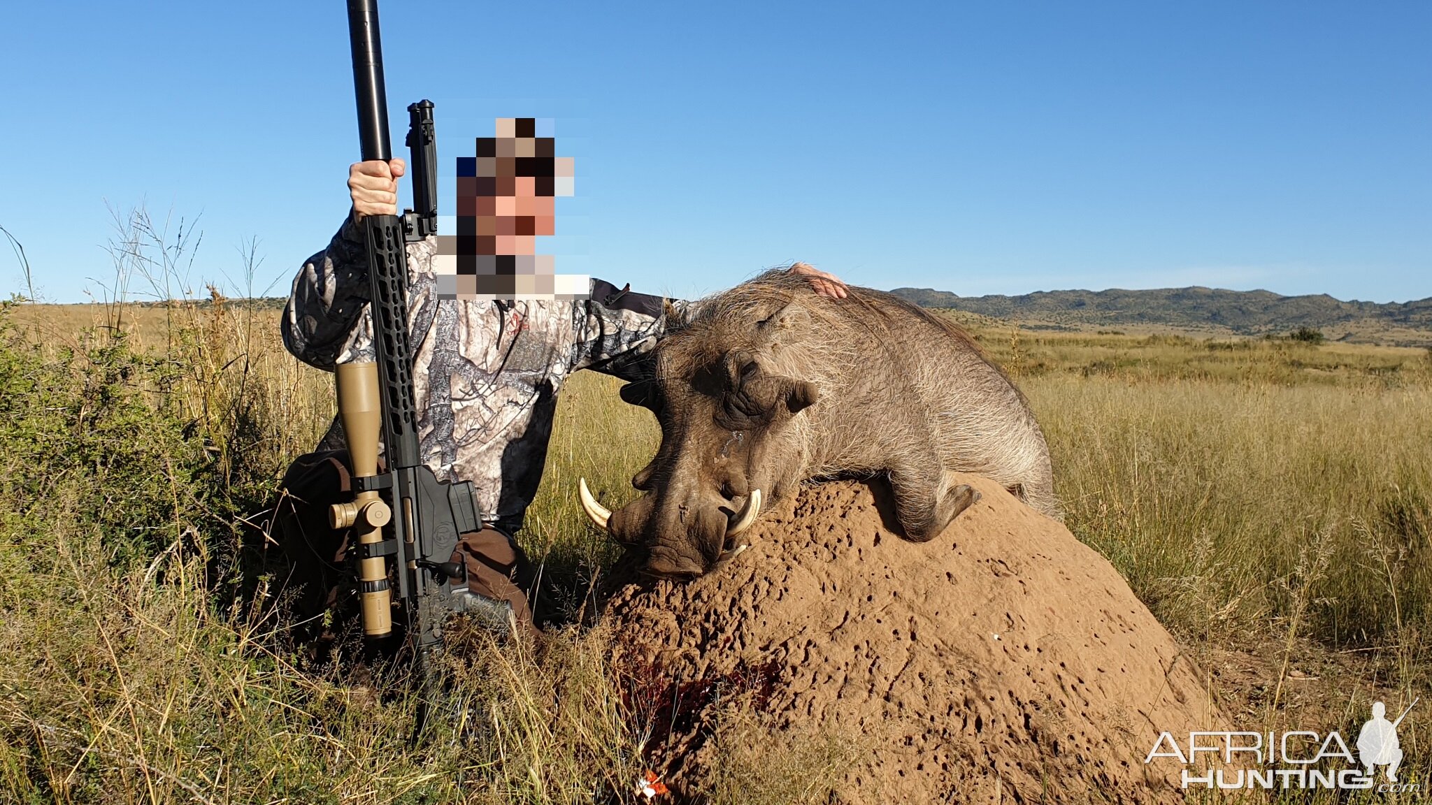 Warthog Cull Hunting South Africa