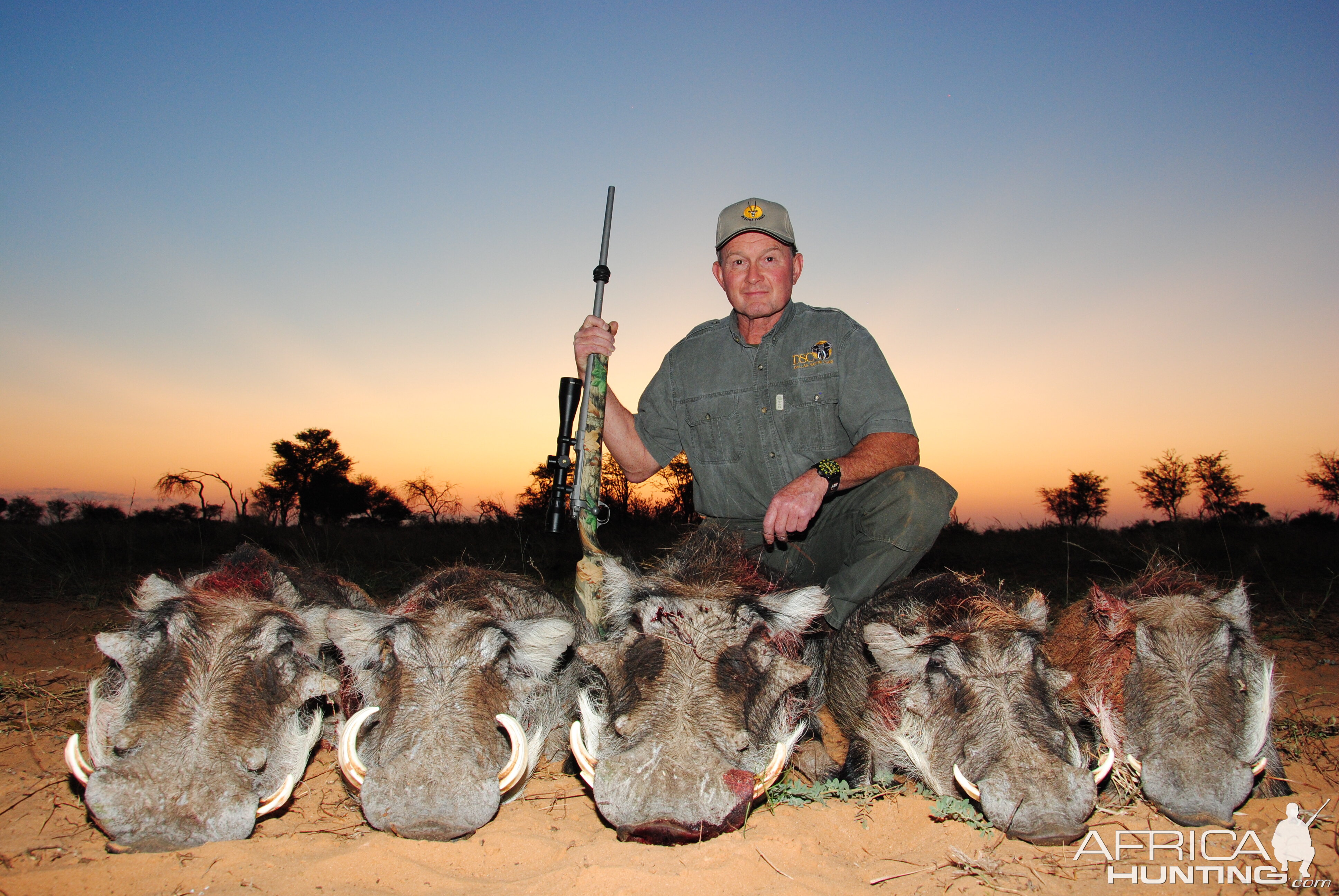 Warthog Cull Hunting with De Klerk Safaris