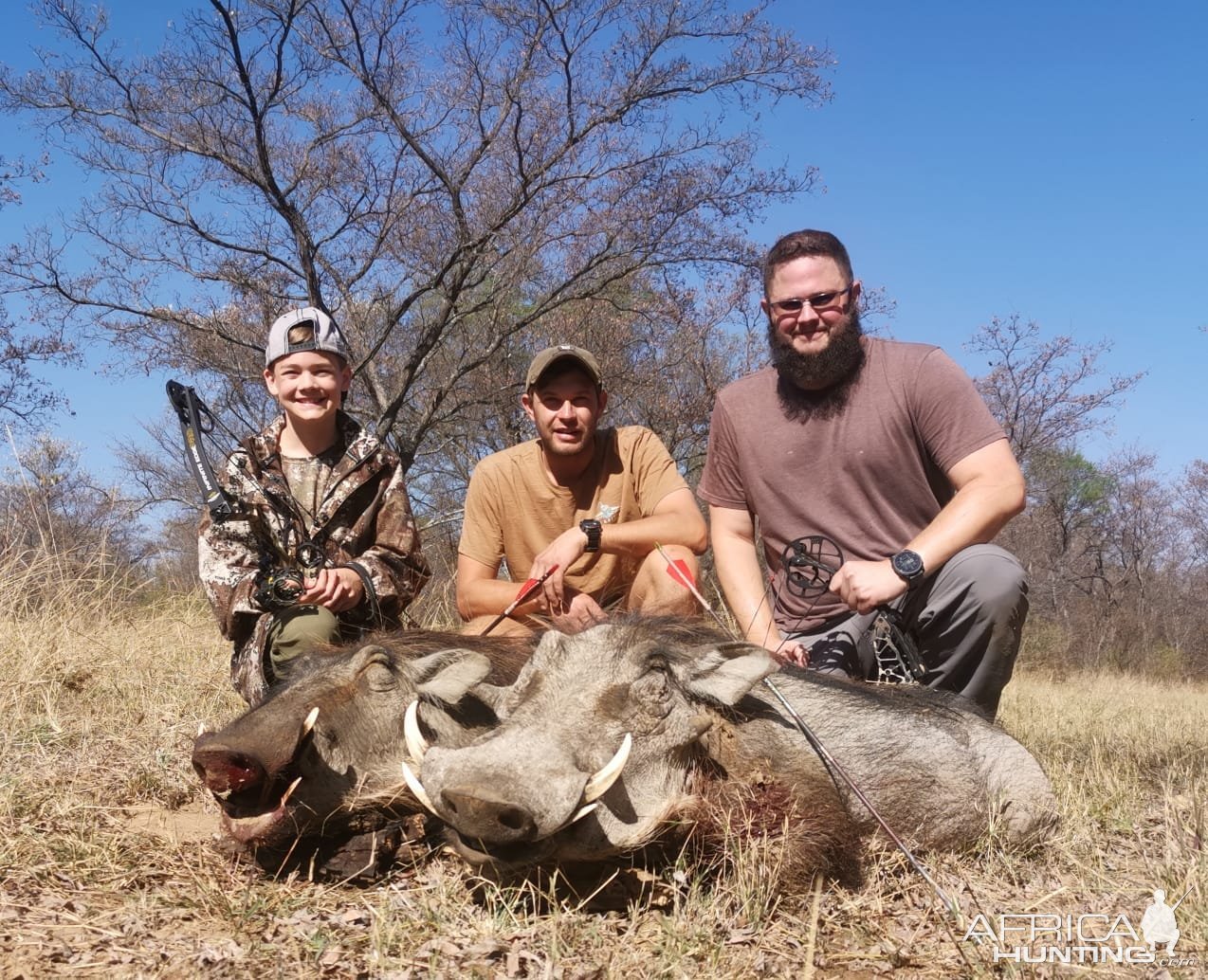 Warthog Duo Hunt Limpopo South Africa