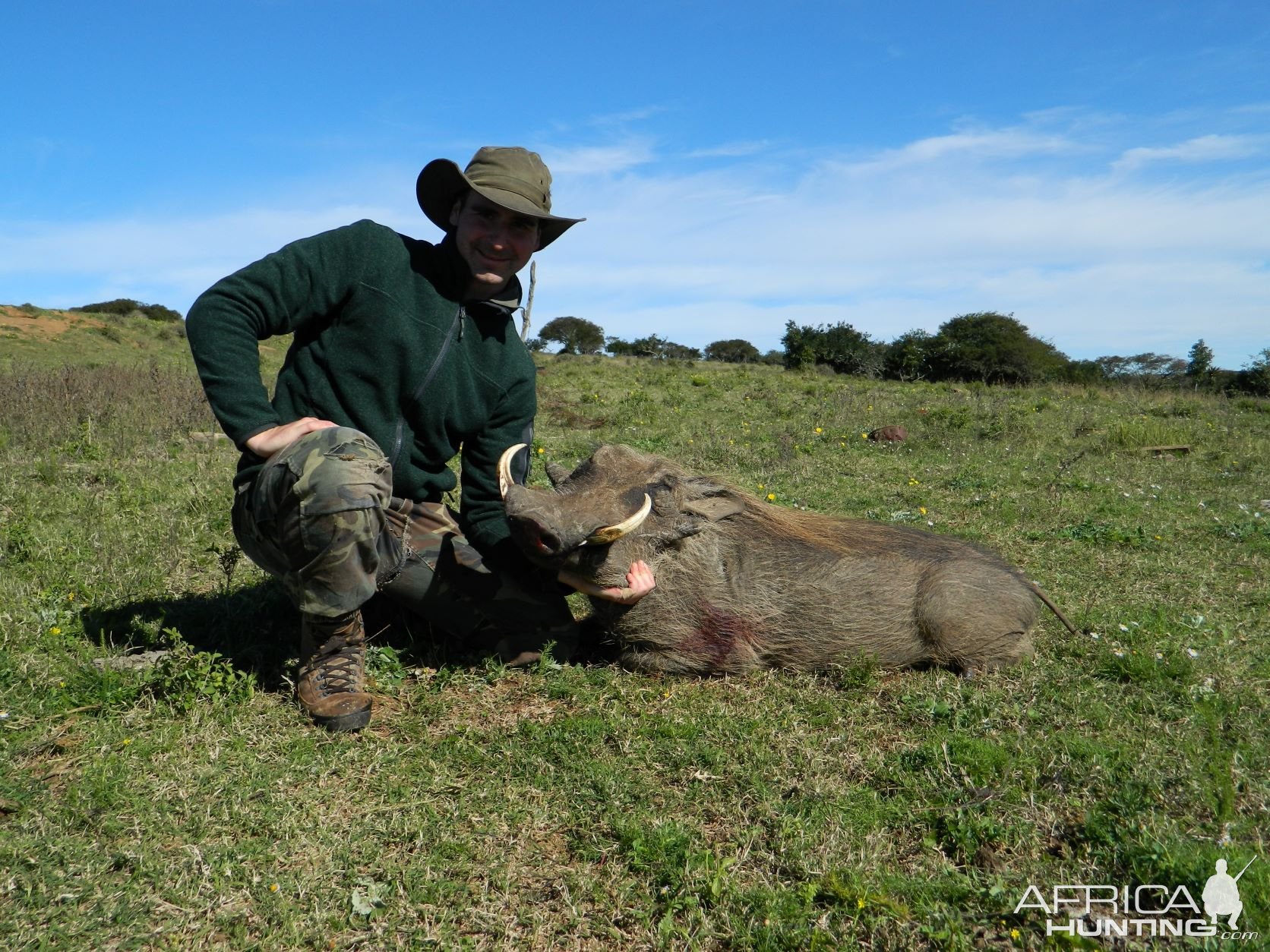 Warthog Eastern Cape