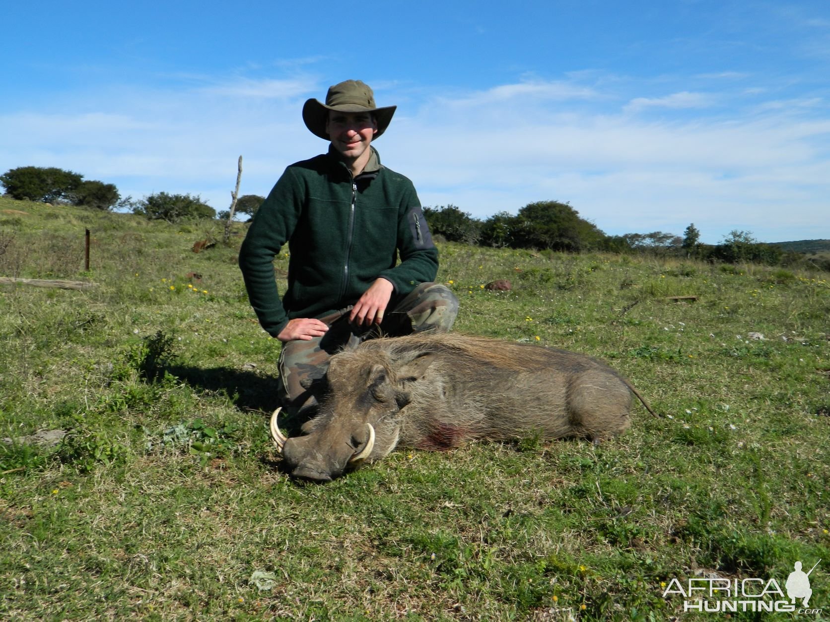 Warthog Huge Hole Scar On The Shoulder