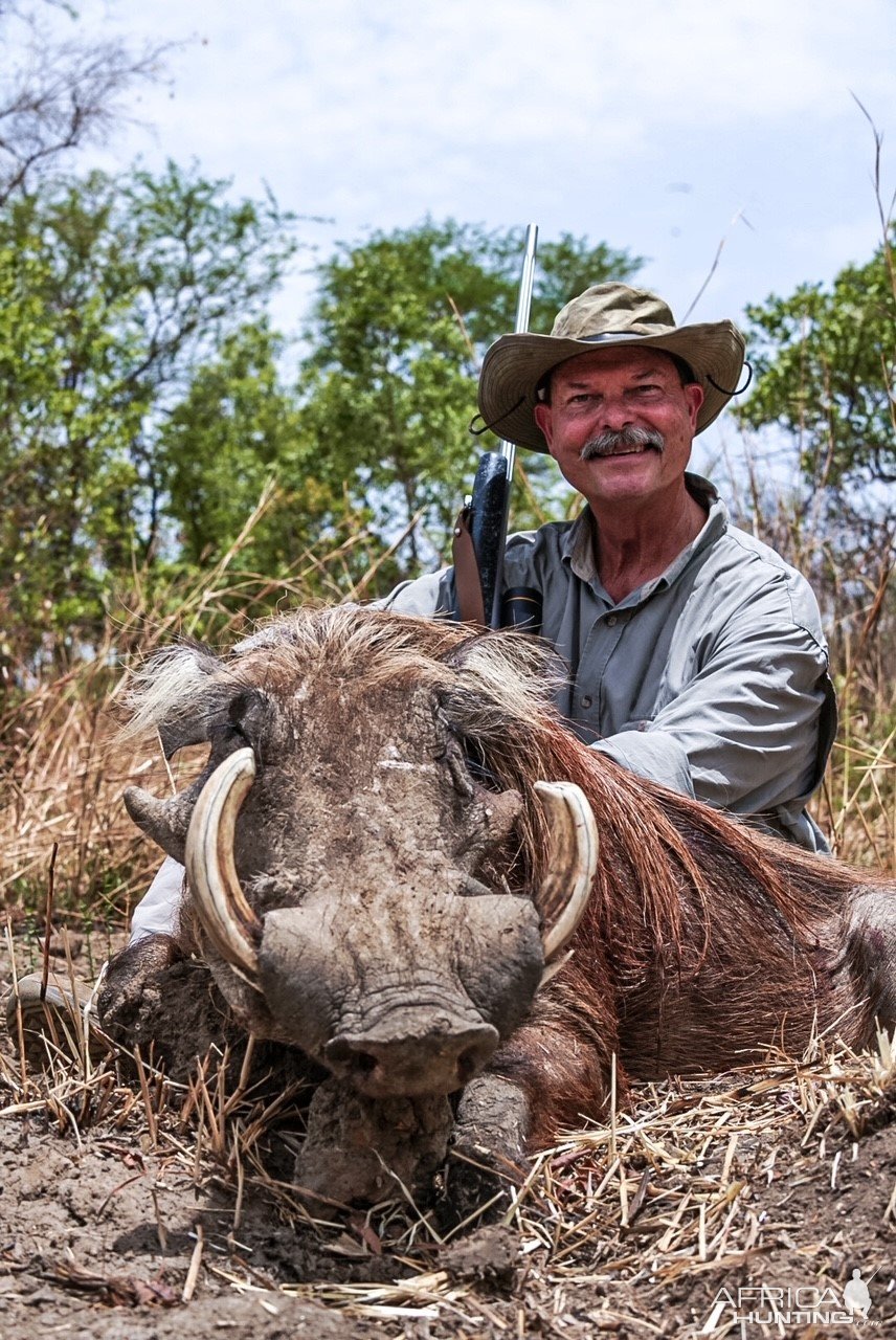 Warthog Hunt Chad