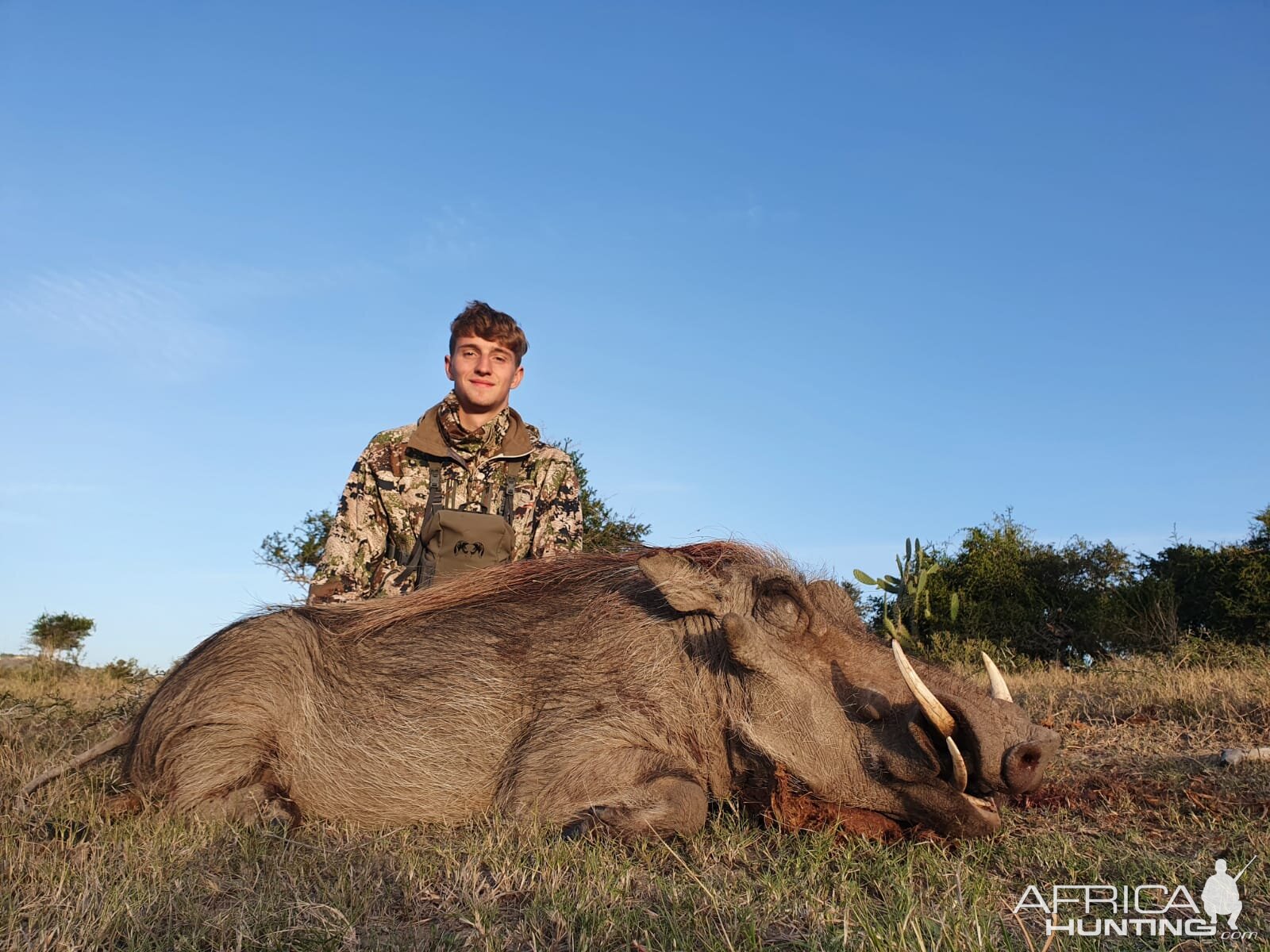 Warthog Hunt Eastern Cape South Africa