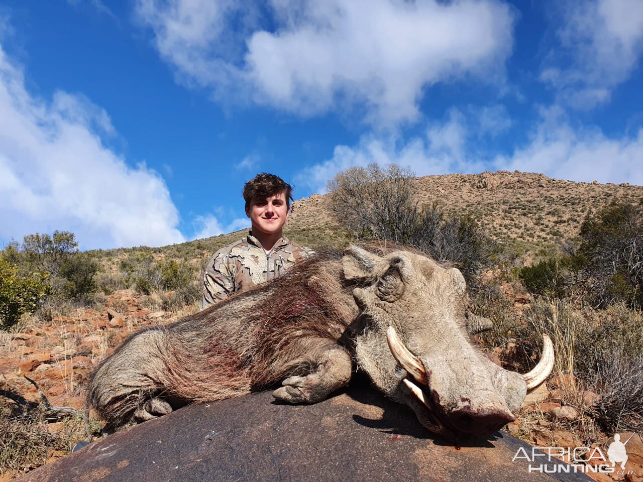 Warthog Hunt Eastern Cape South Africa