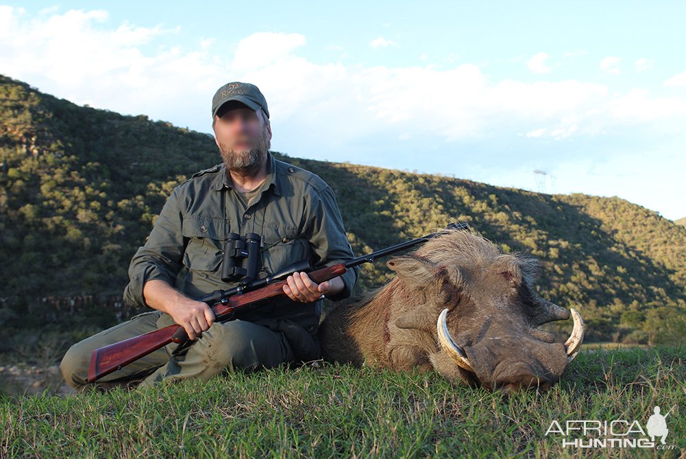 Warthog Hunt Eastern Cape South Africa