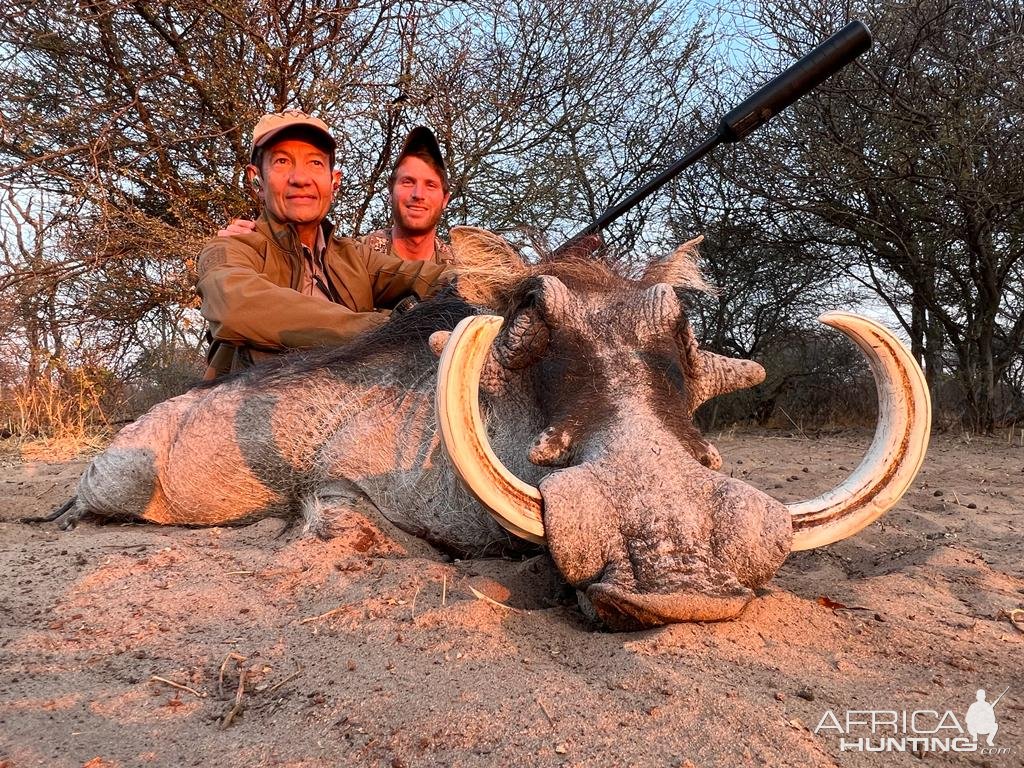 Warthog Hunt Eastern Cape South Africa