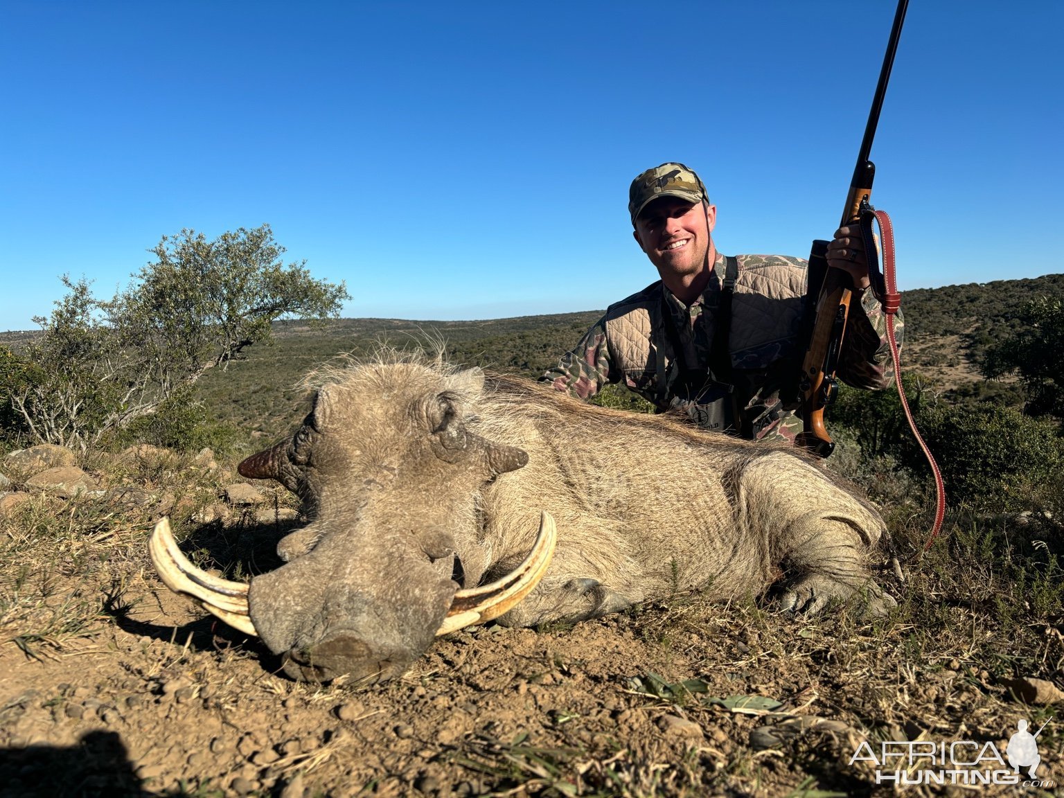 Warthog Hunt Eastern Cape South Africa