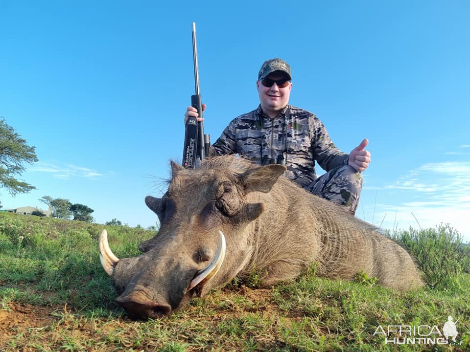 Warthog Hunt Eastern Cape South Africa