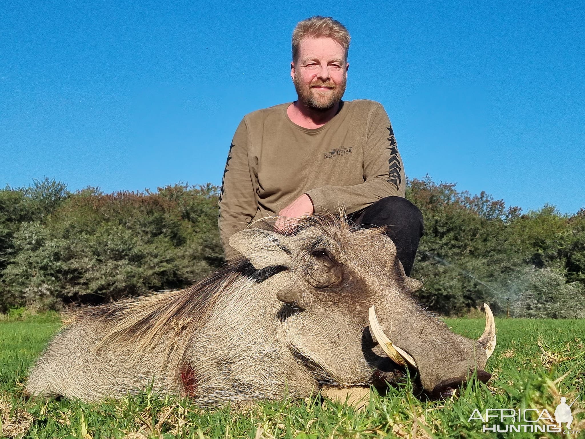 Warthog Hunt Eastern Cape South Africa