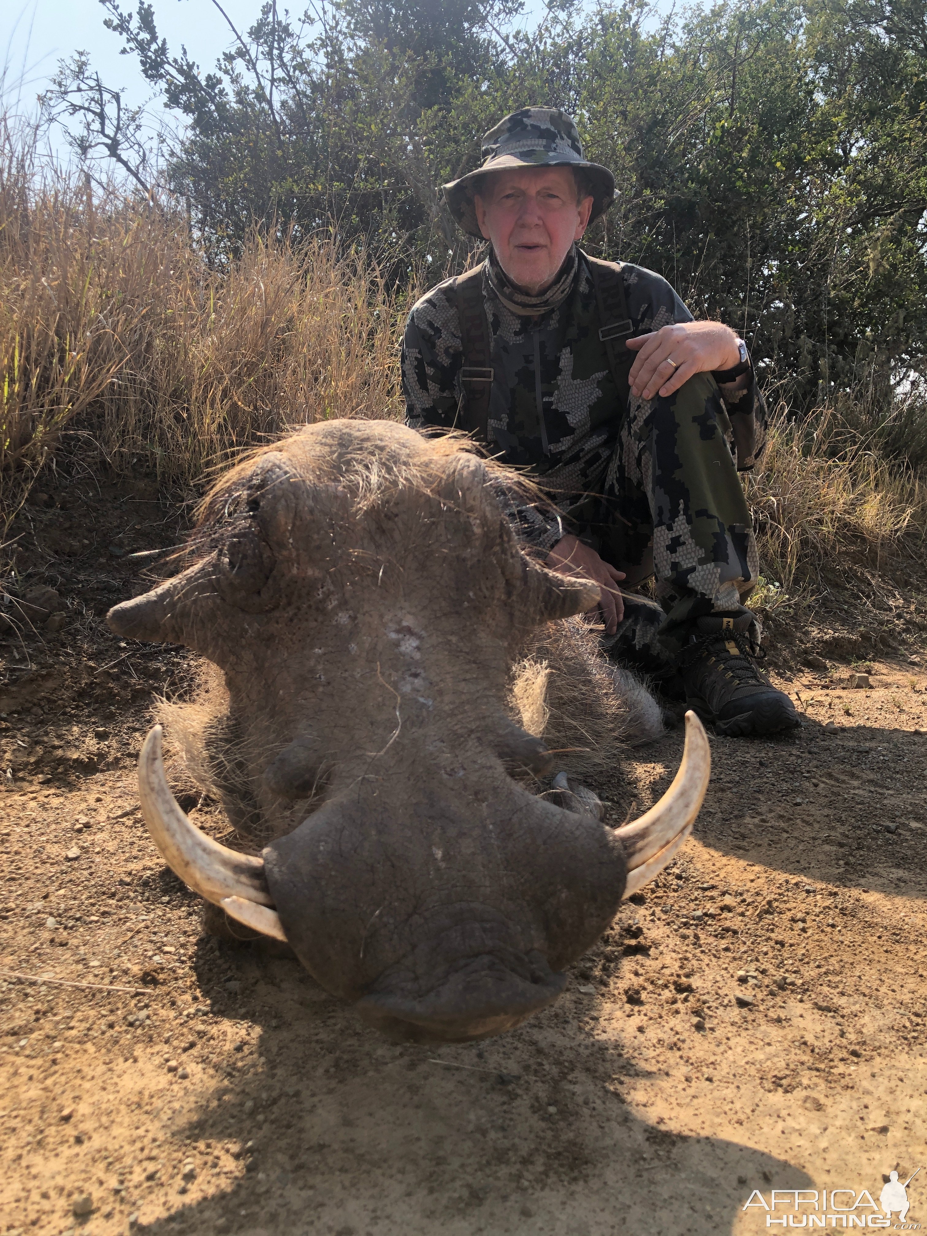 Warthog Hunt Eastern Cape South Africa