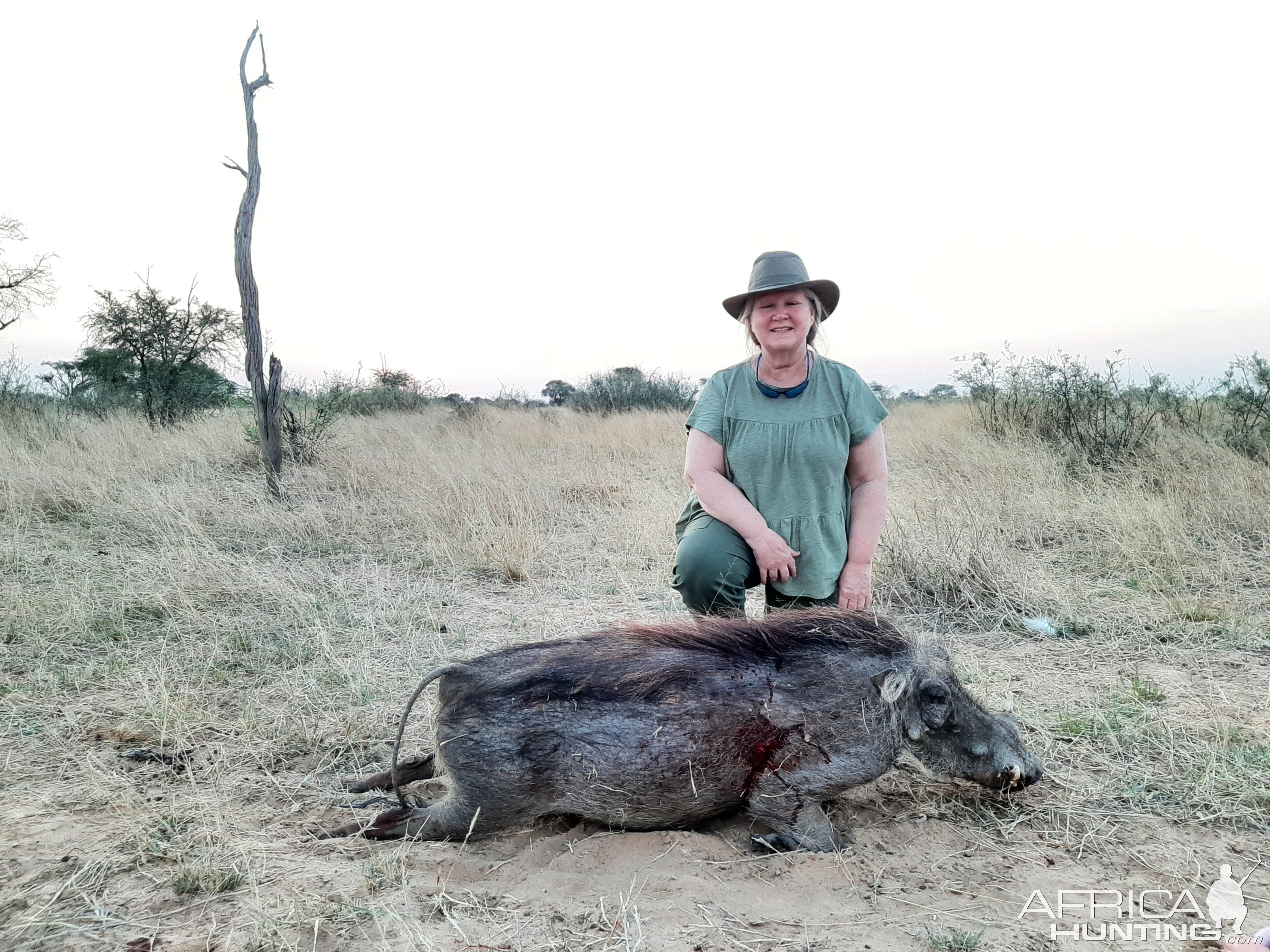 Warthog Hunt Kalahari South Africa