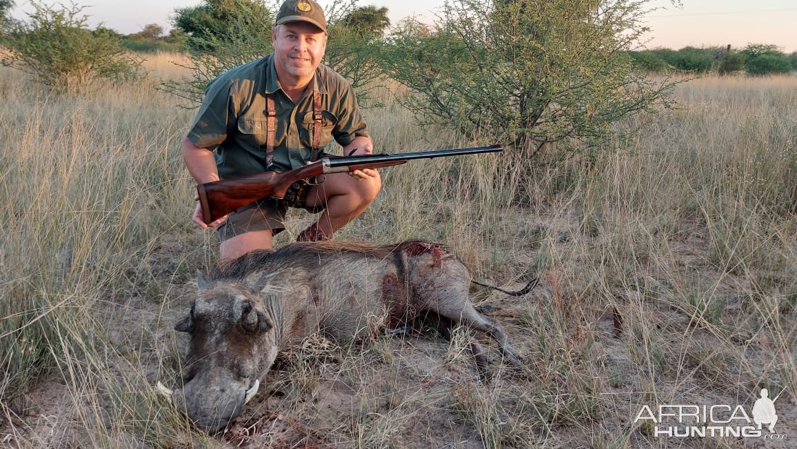 Warthog Hunt Kalahari South Africa