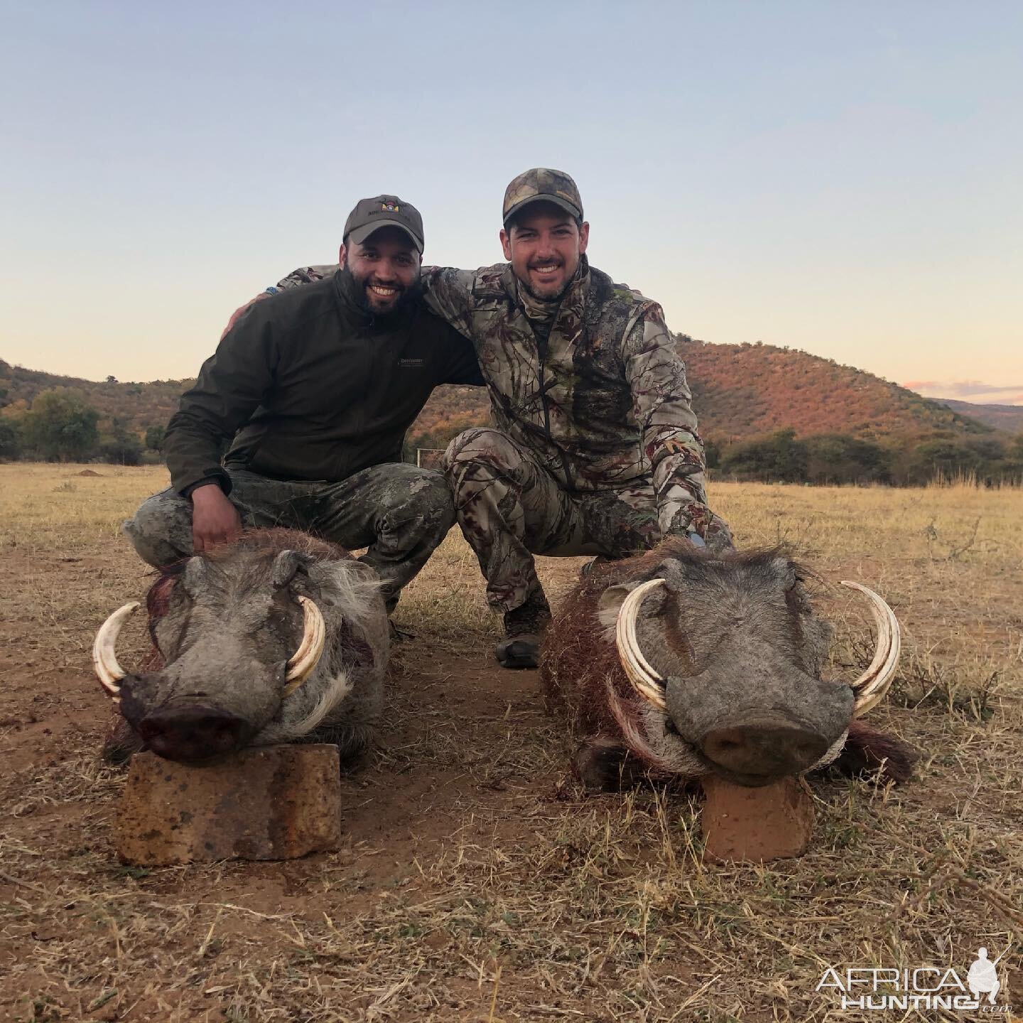 Warthog Hunt Limpopo South Africa