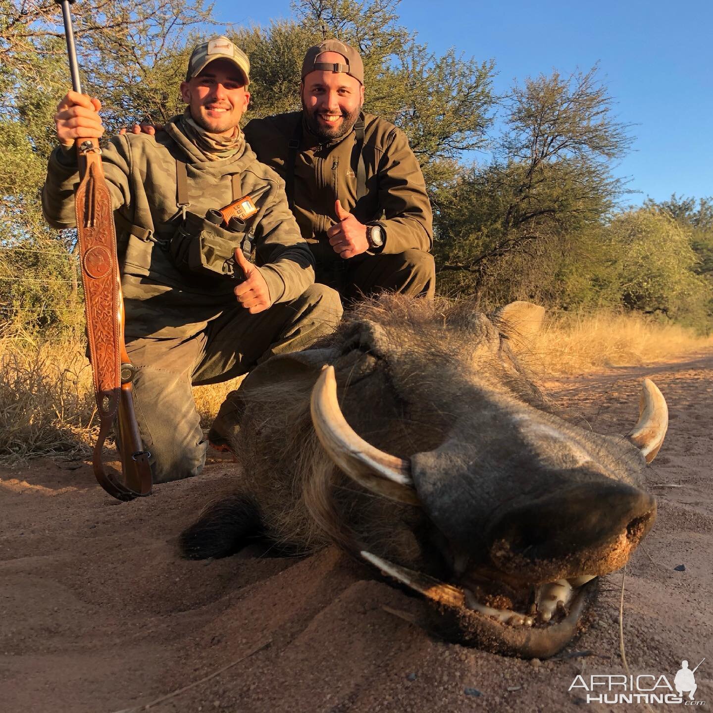 Warthog Hunt Limpopo South Africa