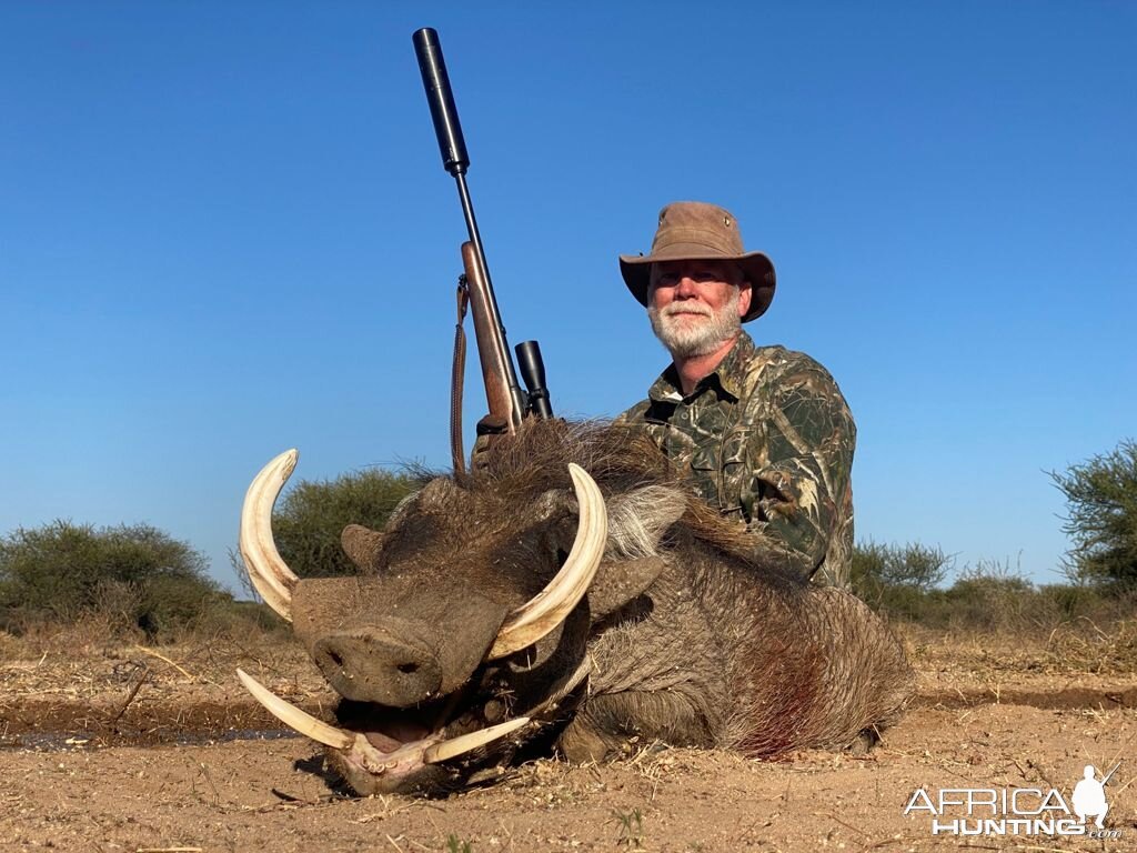 Warthog Hunt Limpopo South Africa