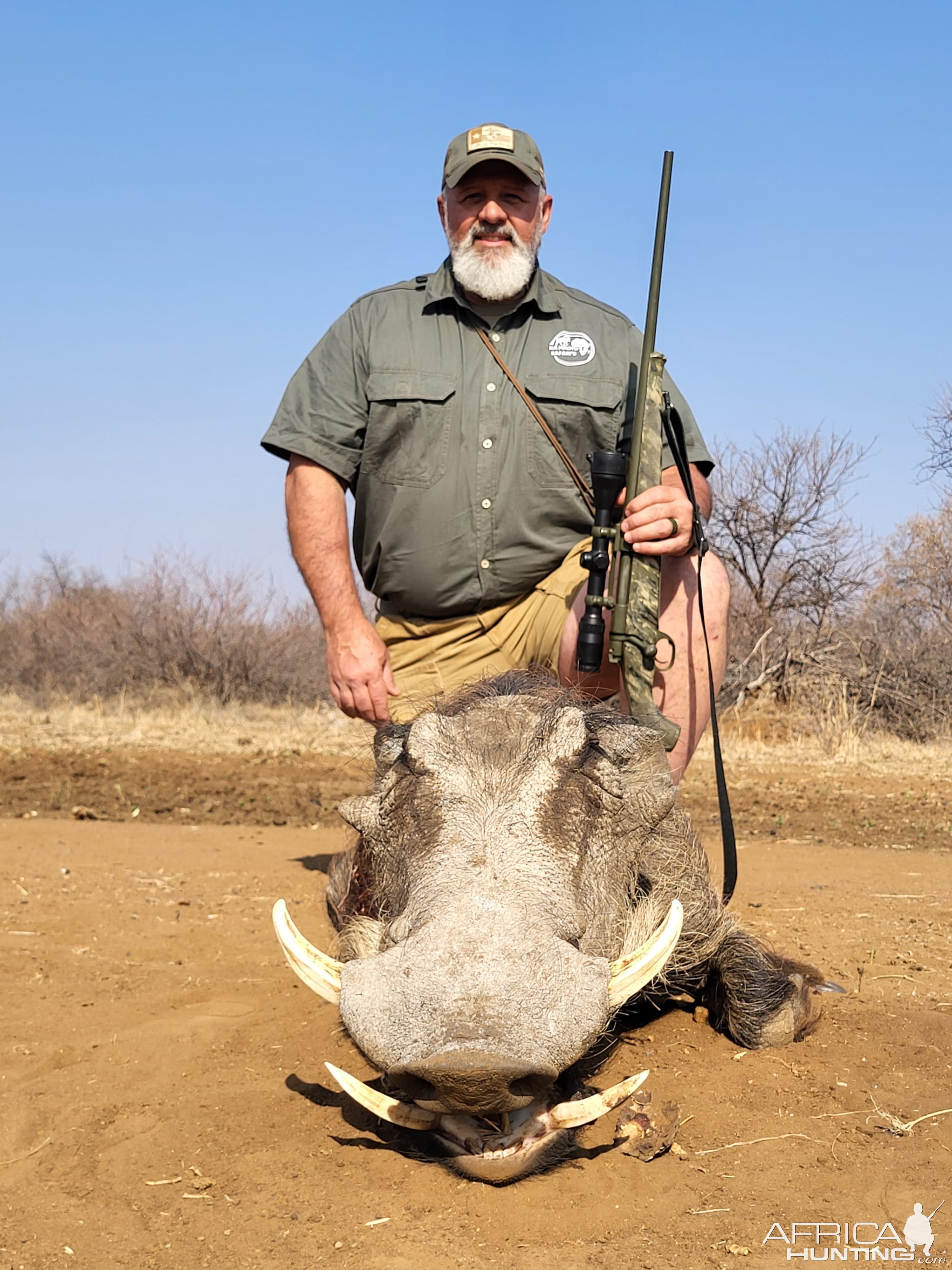 Warthog Hunt Limpopo South Africa