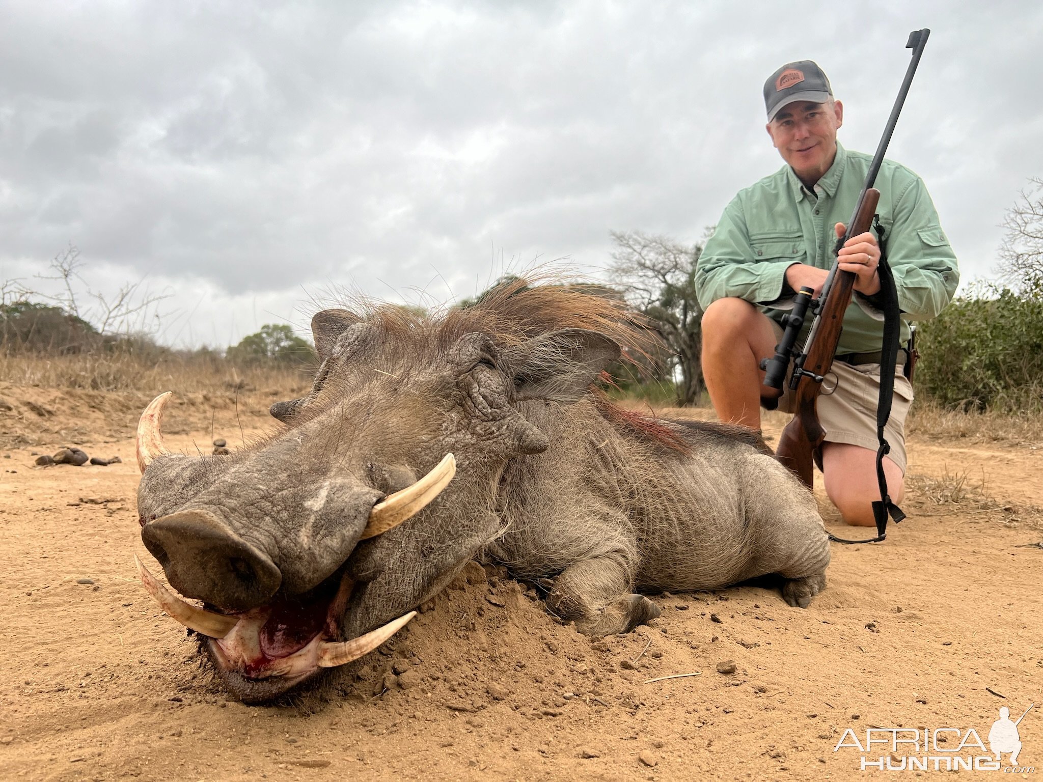 Warthog Hunt Limpopo South Africa