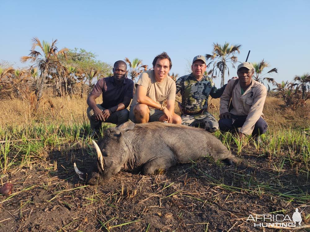 Warthog Hunt Mozambique