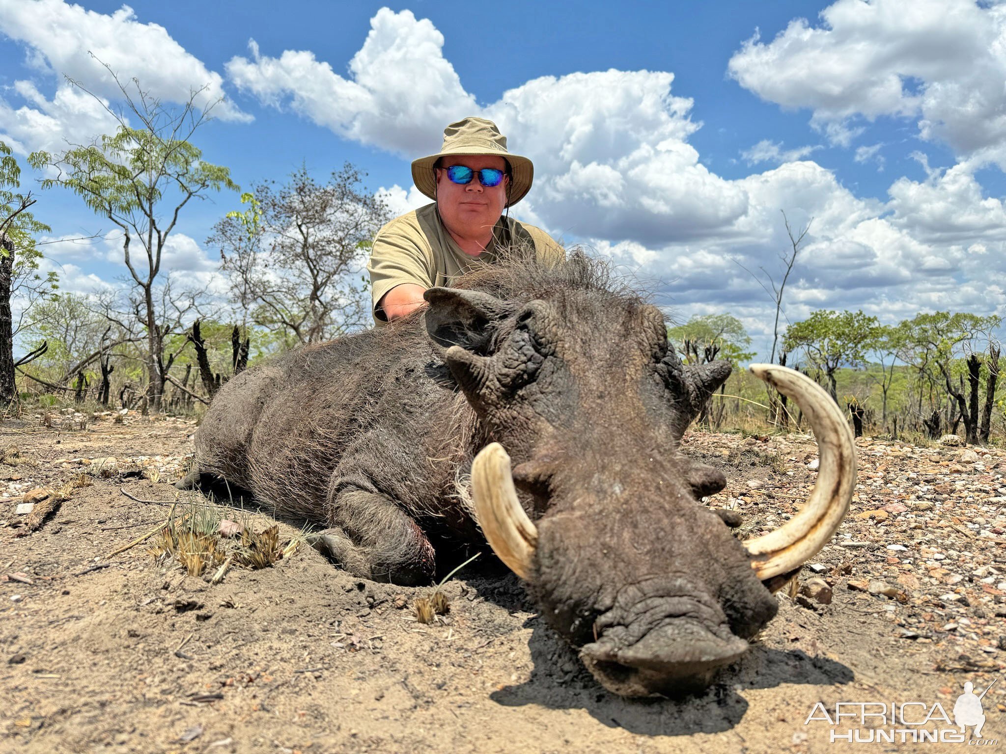 Warthog Hunt Mozambique