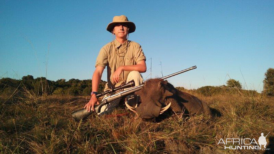 Warthog Hunt Mozambique