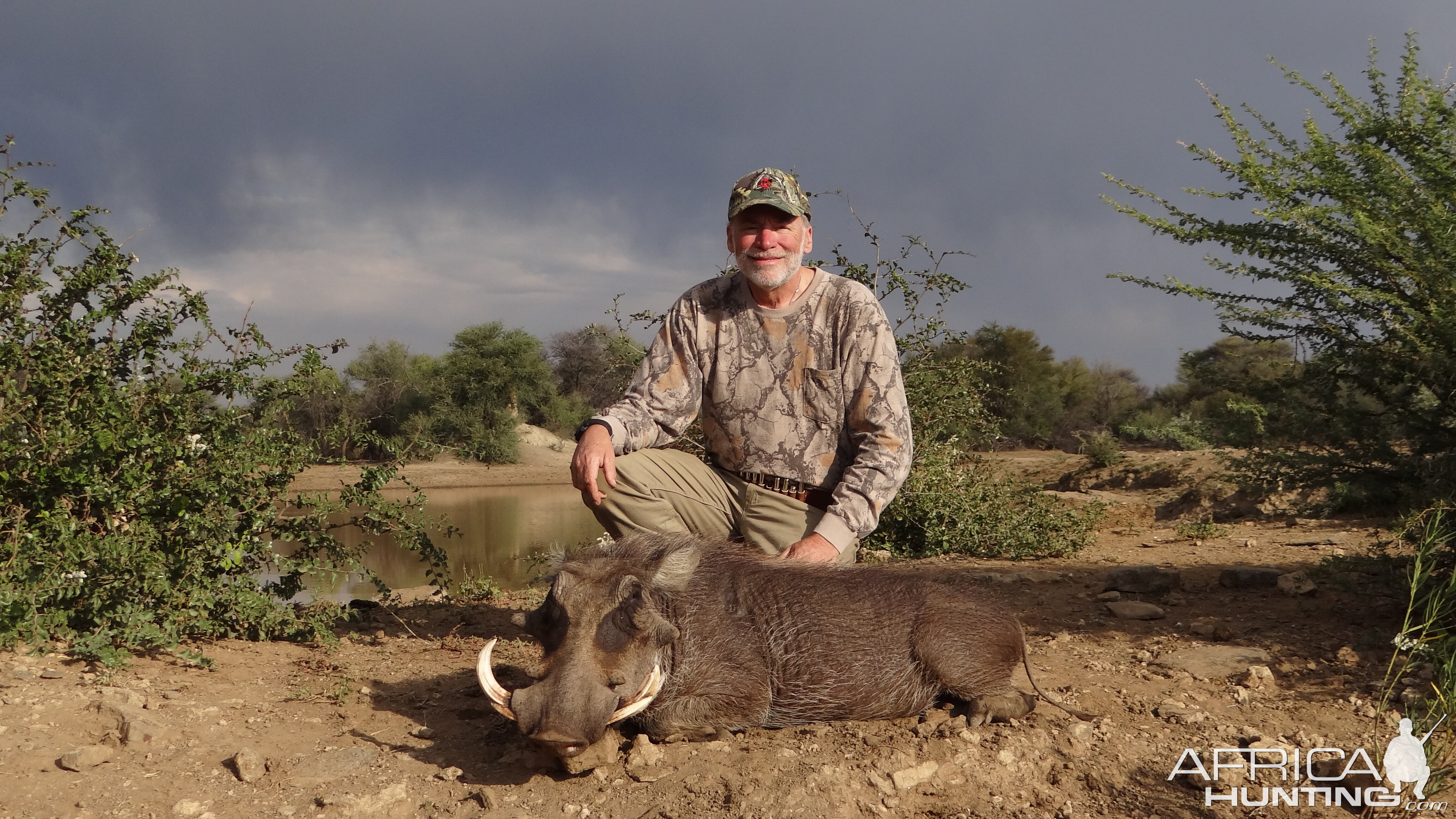 Warthog Hunt Namibia