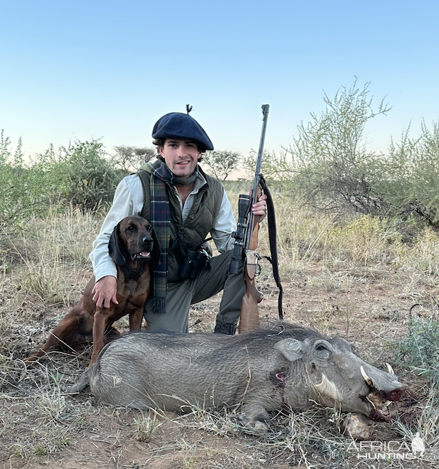 Warthog Hunt Namibia