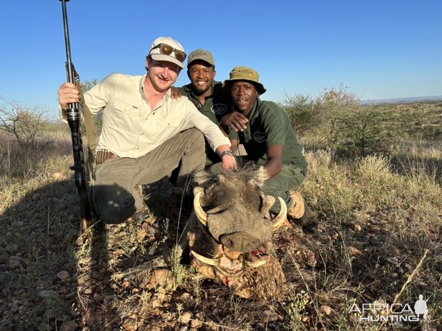 Warthog Hunt Namibia