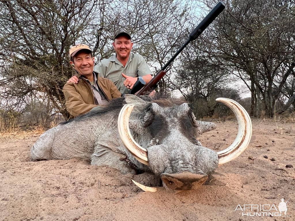 Warthog Hunt Namibia