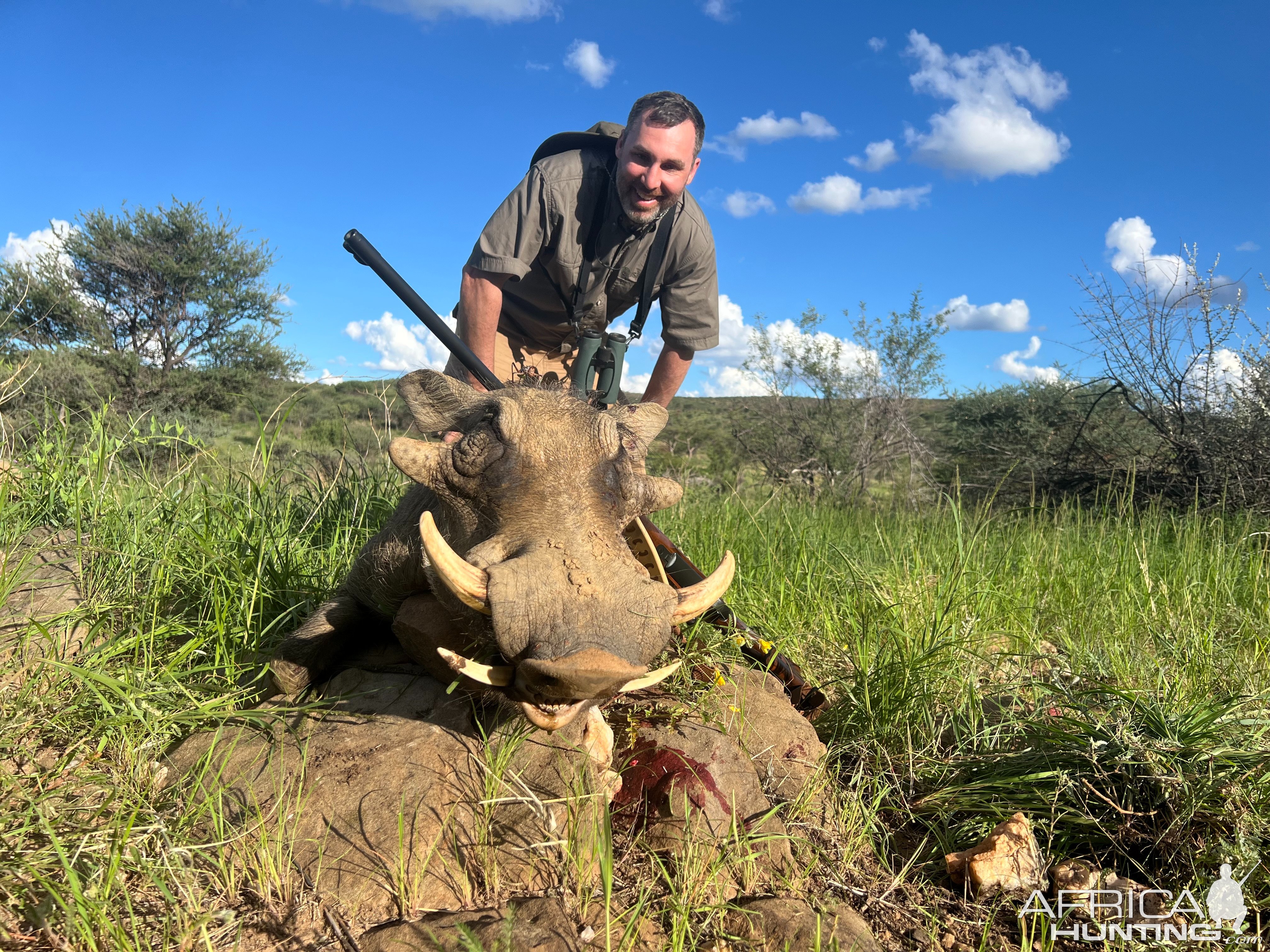 Warthog Hunt Namibia