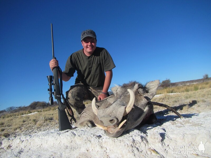 Warthog Hunt Namibia