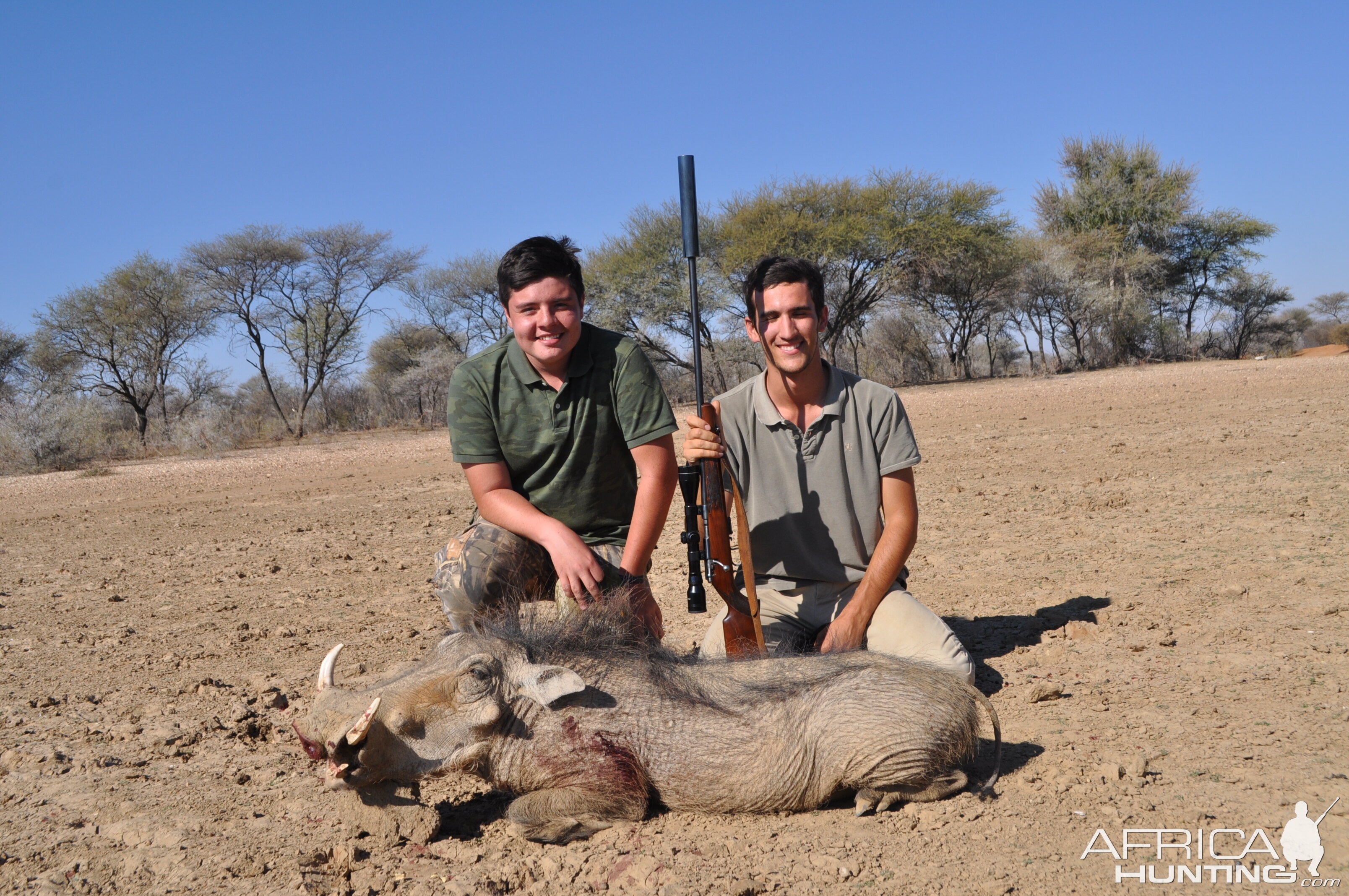 Warthog Hunt Namibia