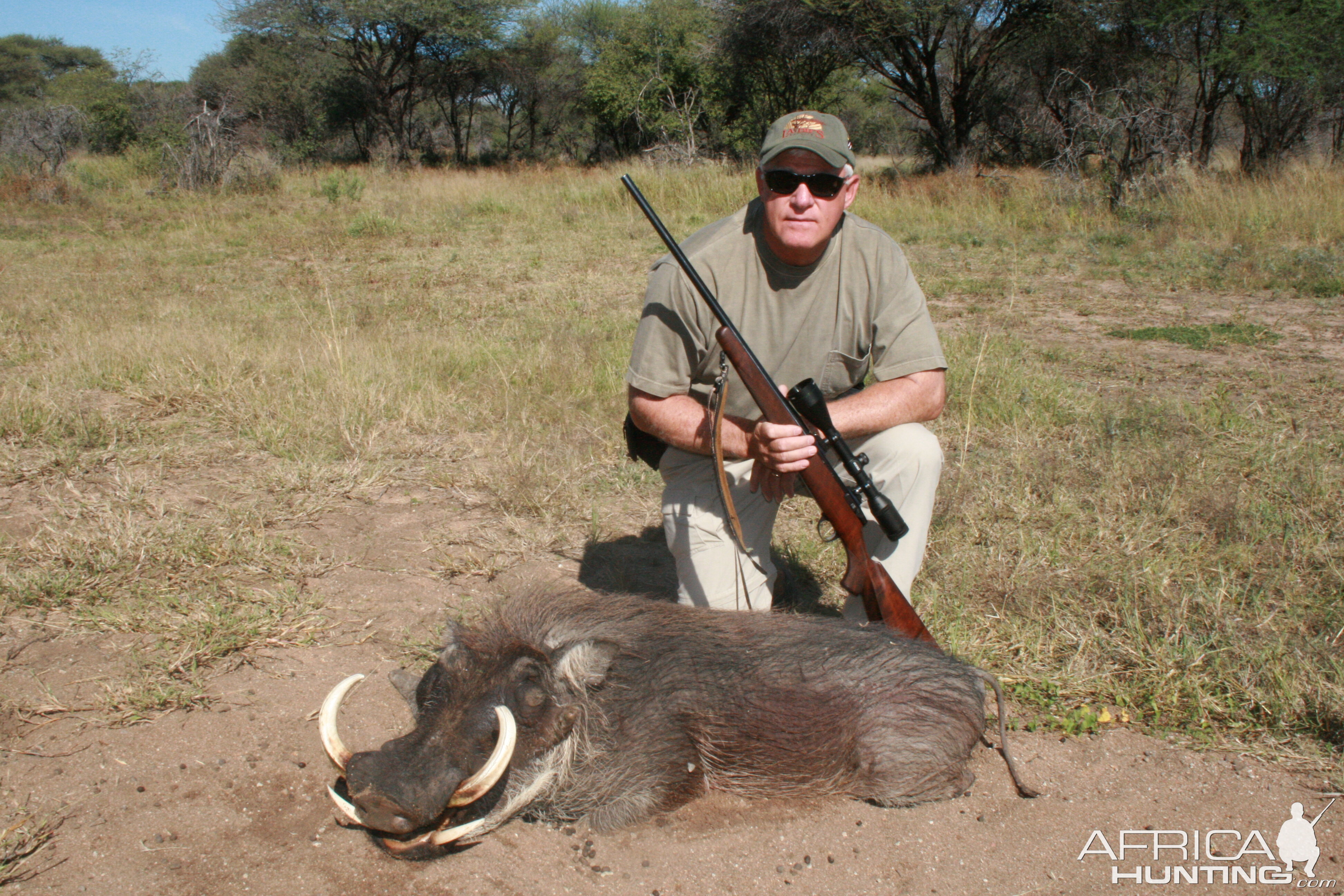 Warthog hunt Namibia