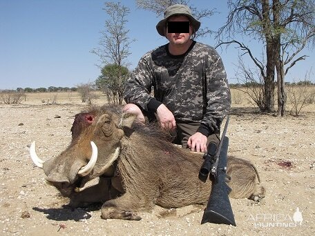 Warthog Hunt Namibia