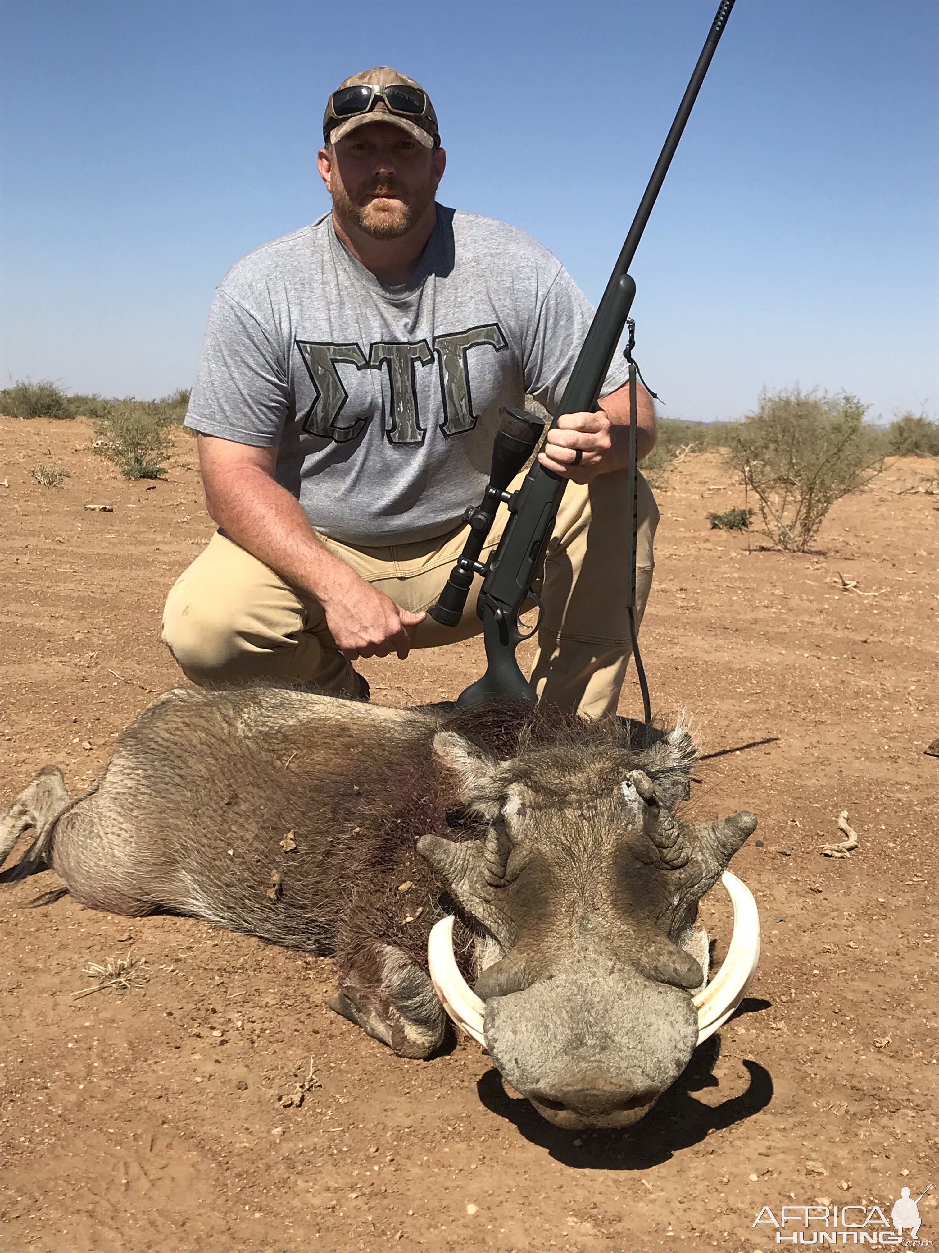 Warthog Hunt Namibia