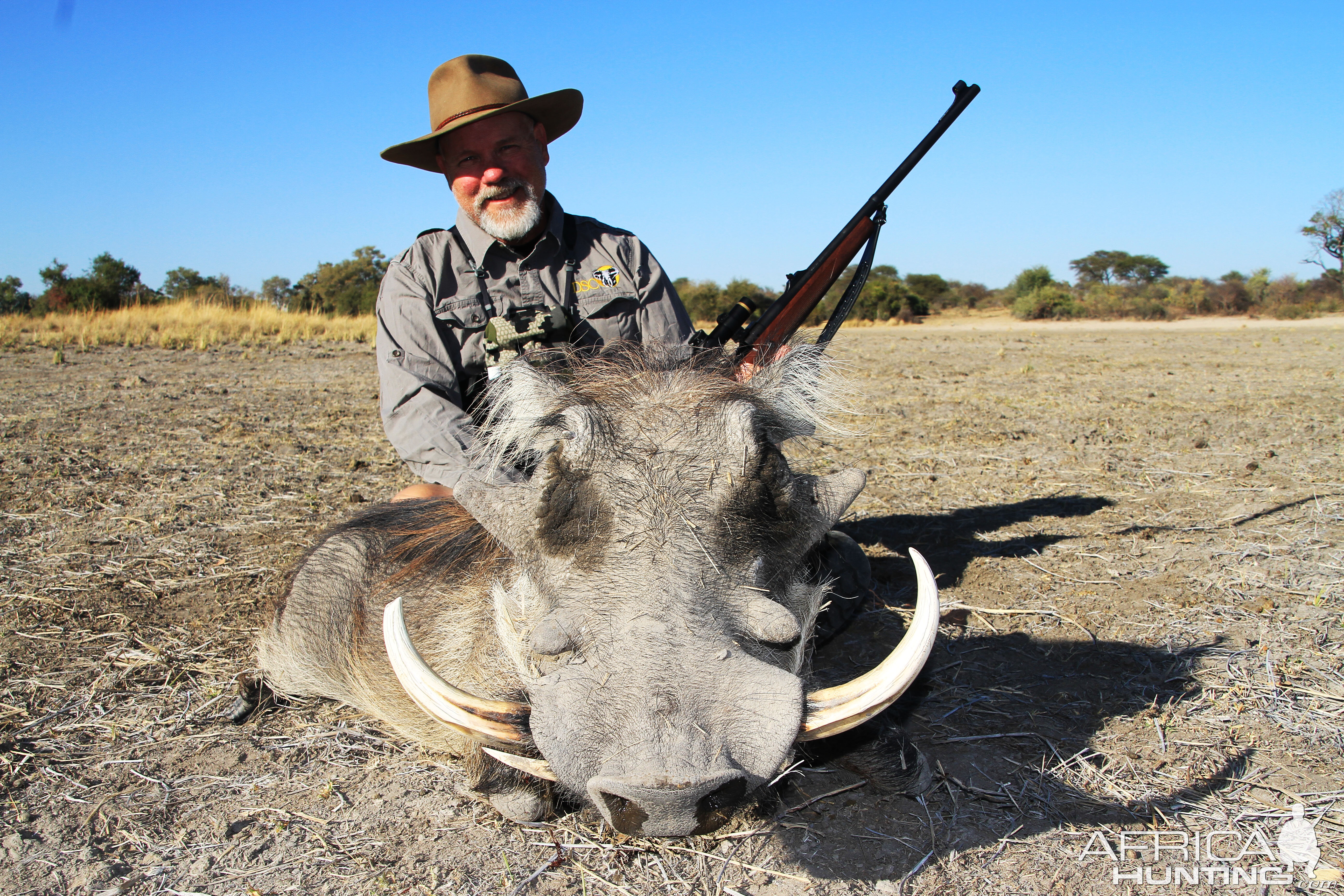 Warthog Hunt Namibia