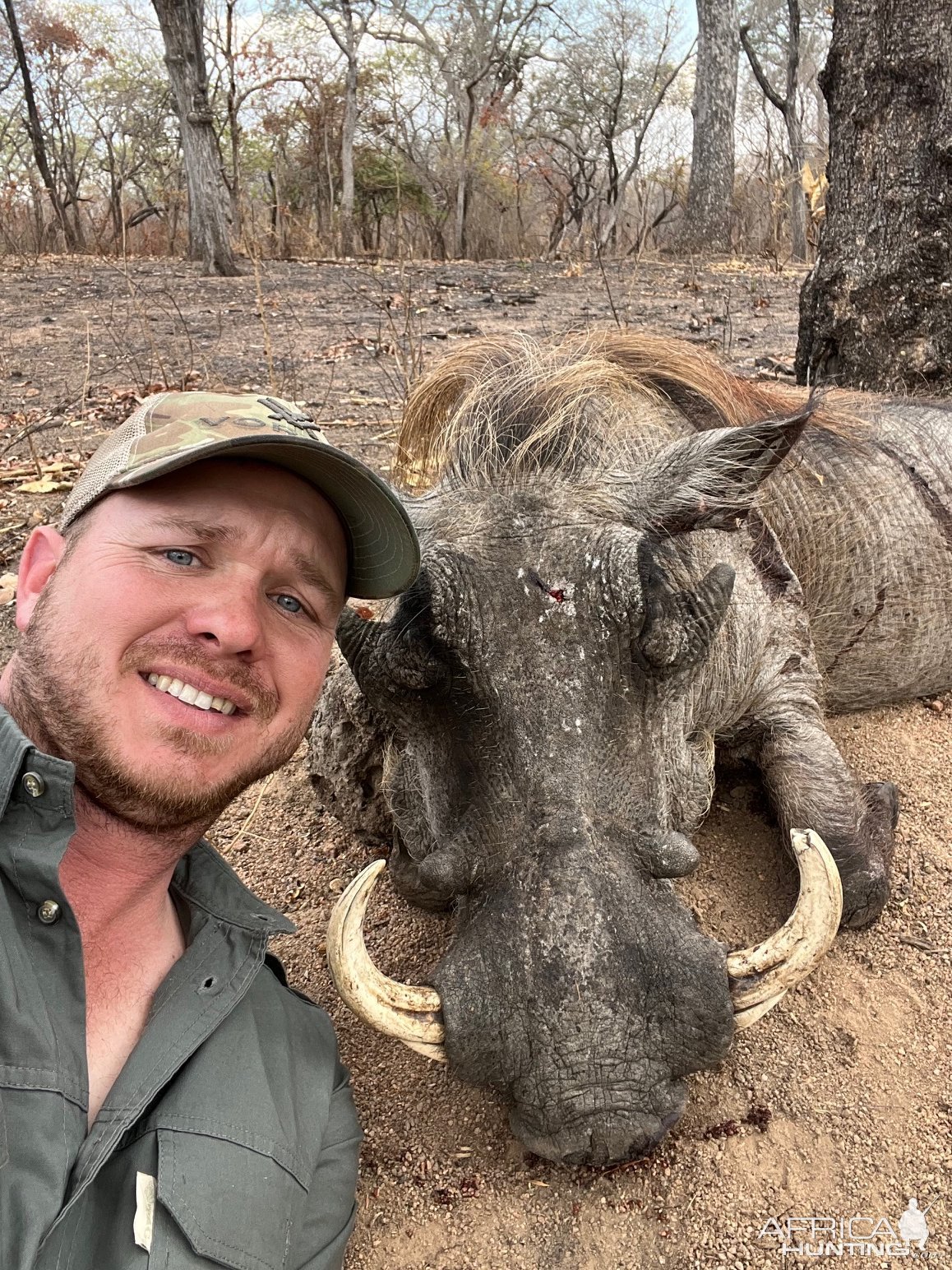 Warthog Hunt Niassa Mozambique