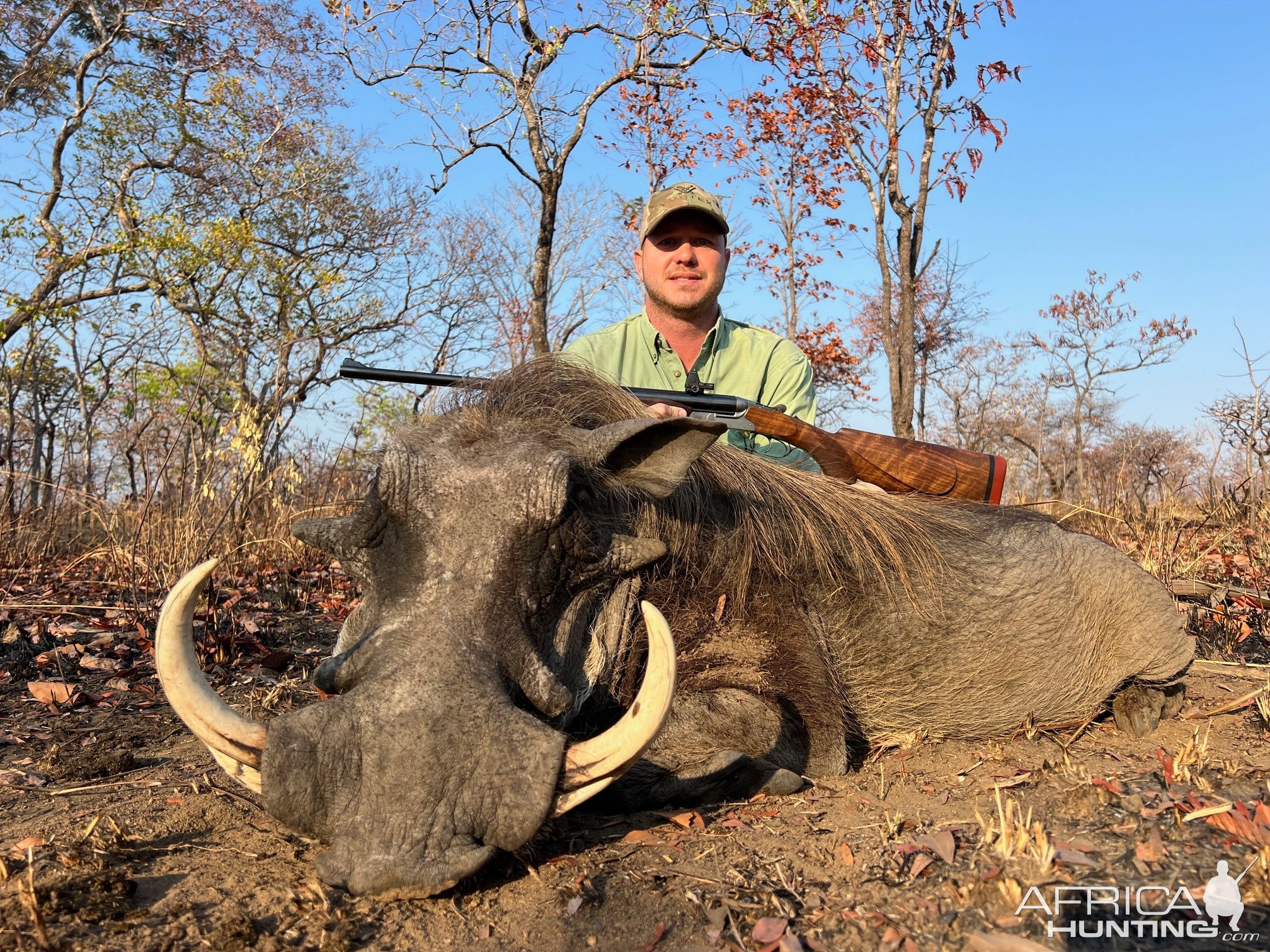 Warthog Hunt Niassa Mozambique