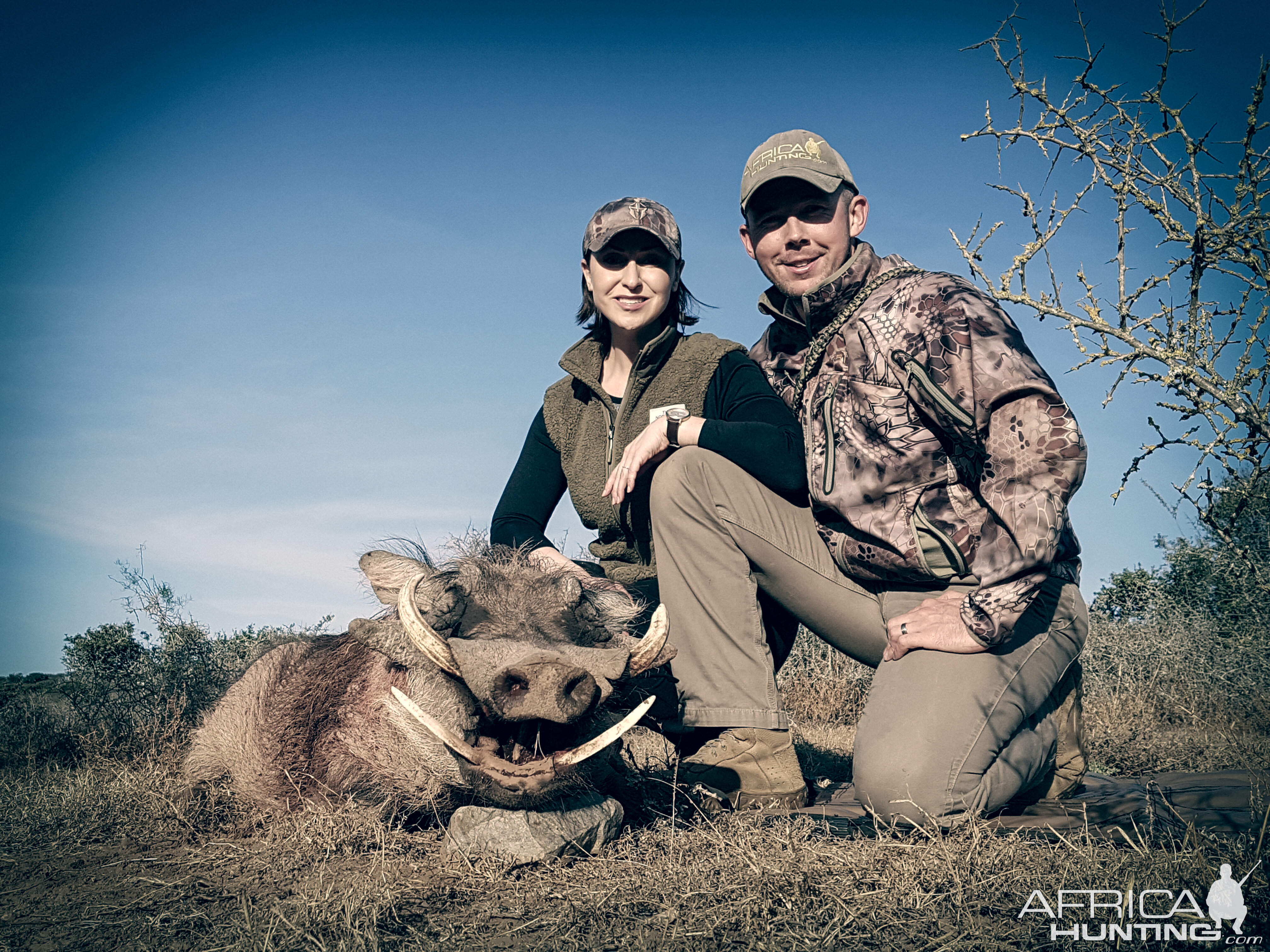 Warthog Hunt South Africa