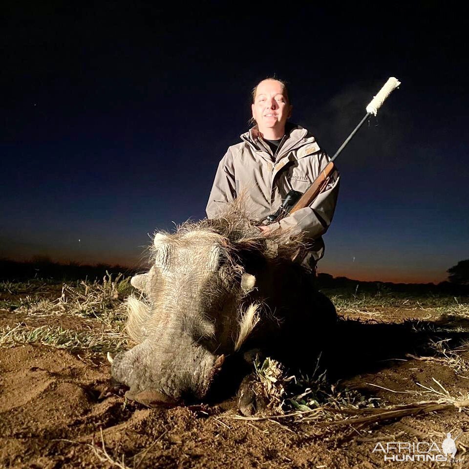 Warthog Hunt South Africa