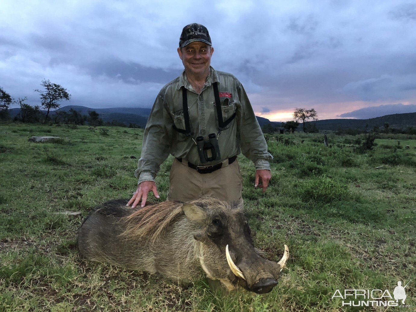 Warthog Hunt South Africa