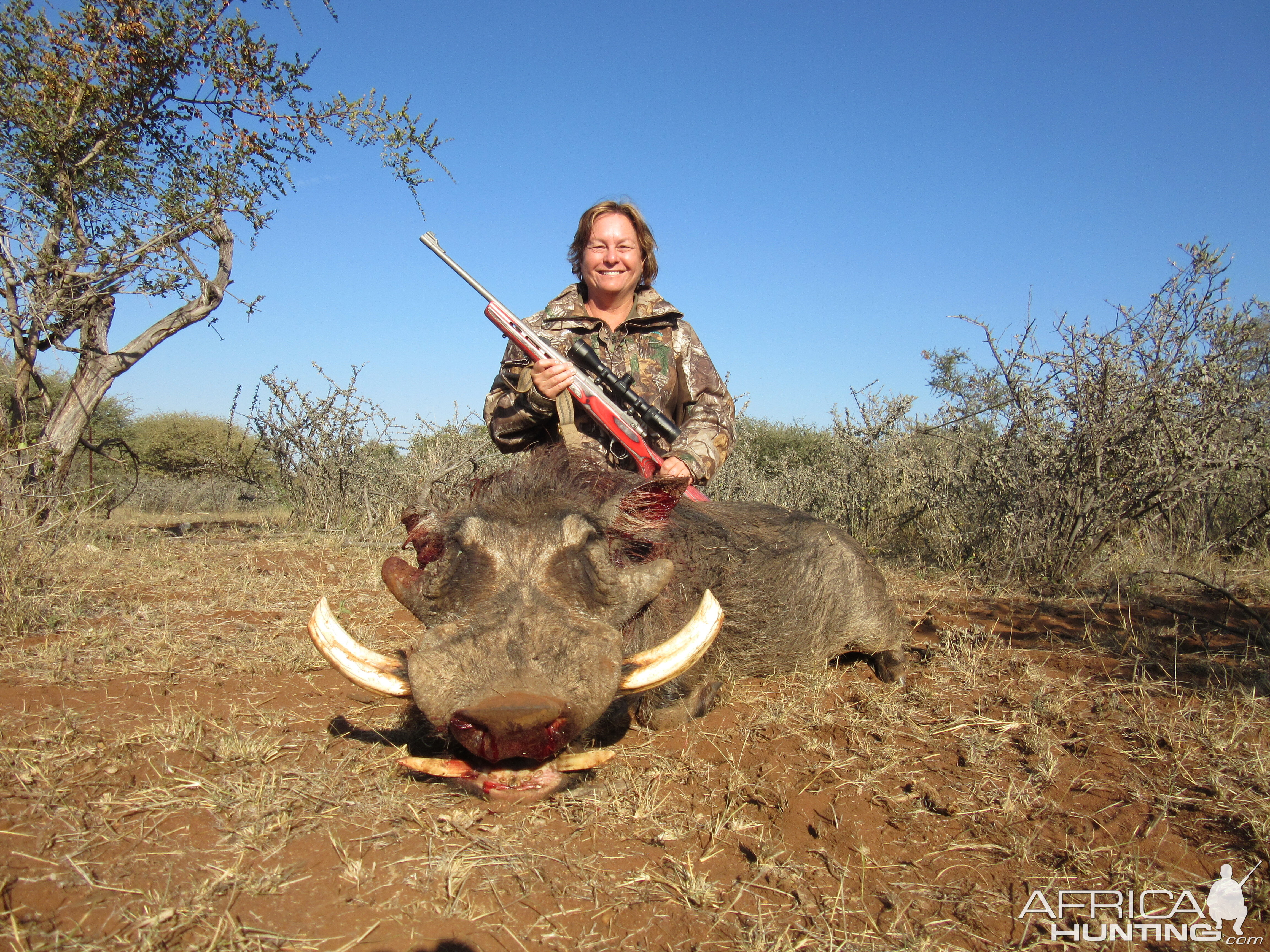 Warthog Hunt South Africa